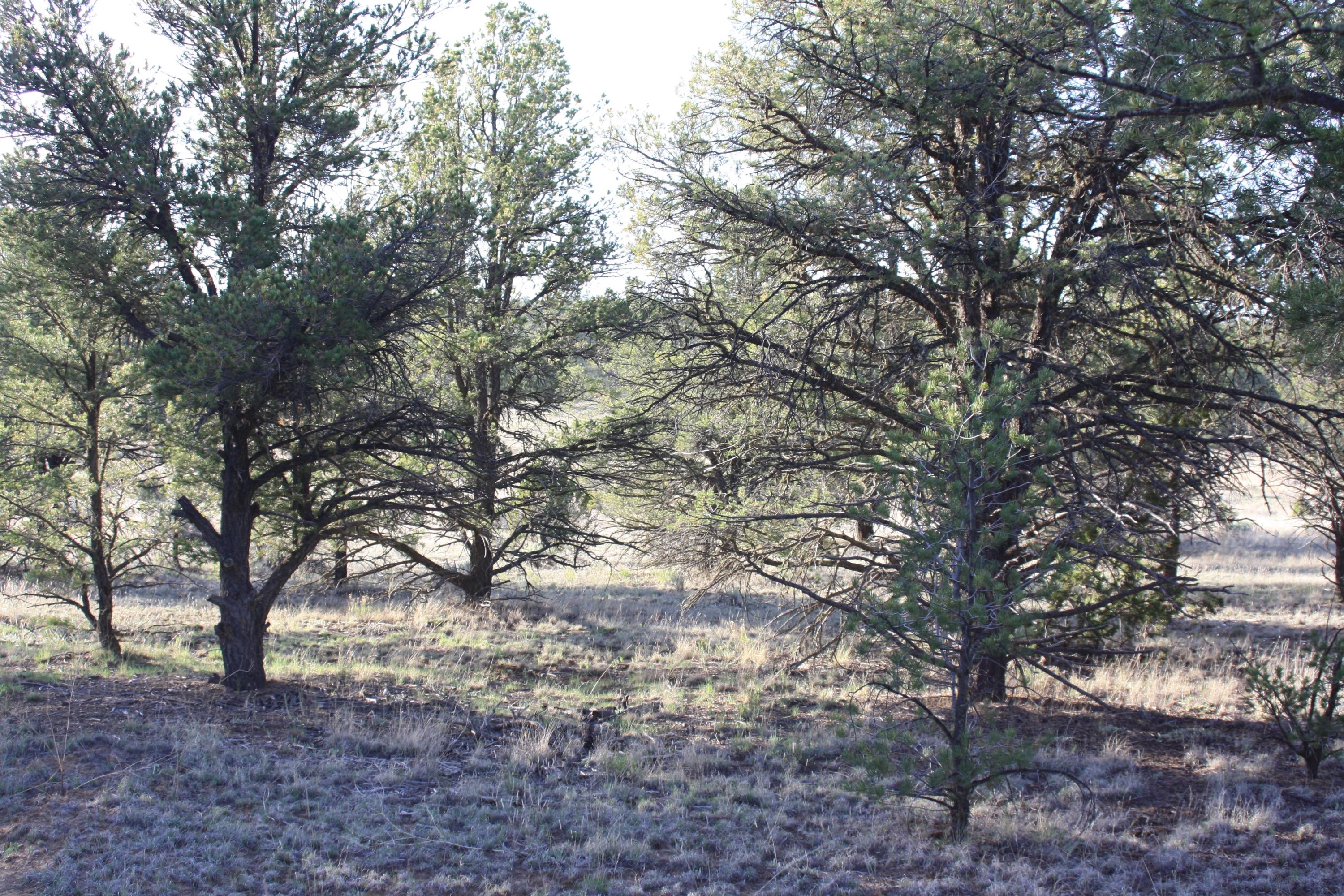 7 Branding Iron Road 