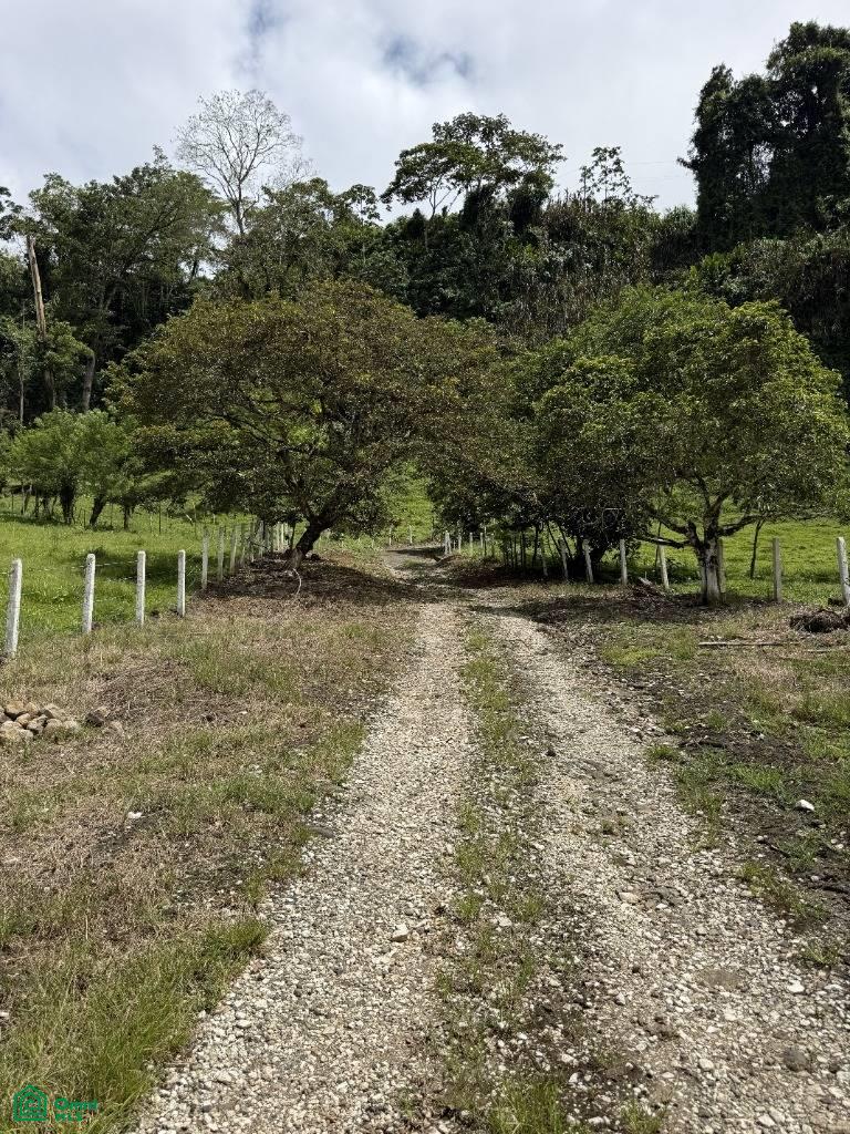 Santa Teresita , Santa Teresita, Turrialba, Cartago