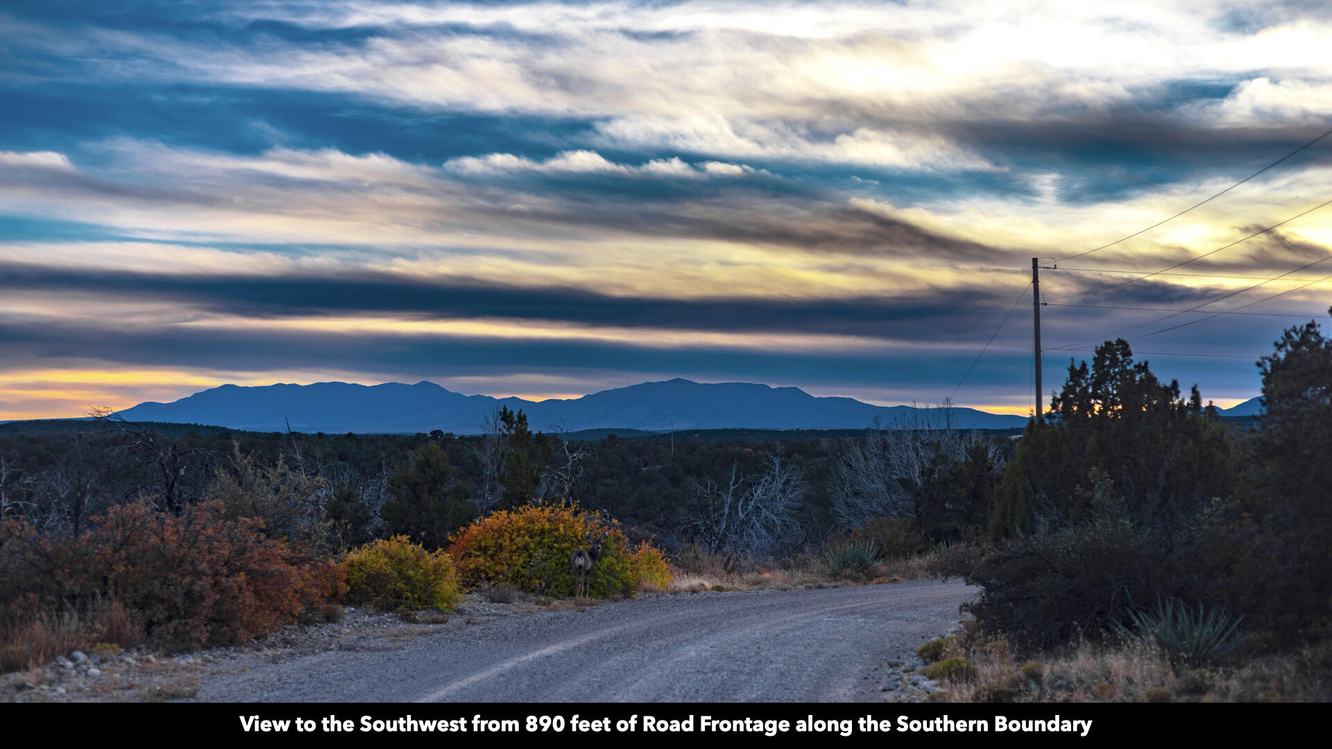 Twin Peaks Dr Drive 