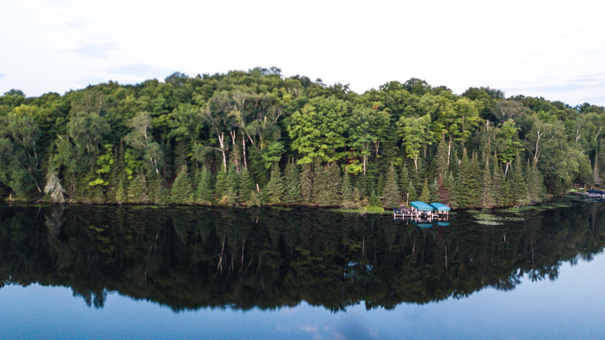 McCullough Lake Property 7260 Bear Trl Photo 69