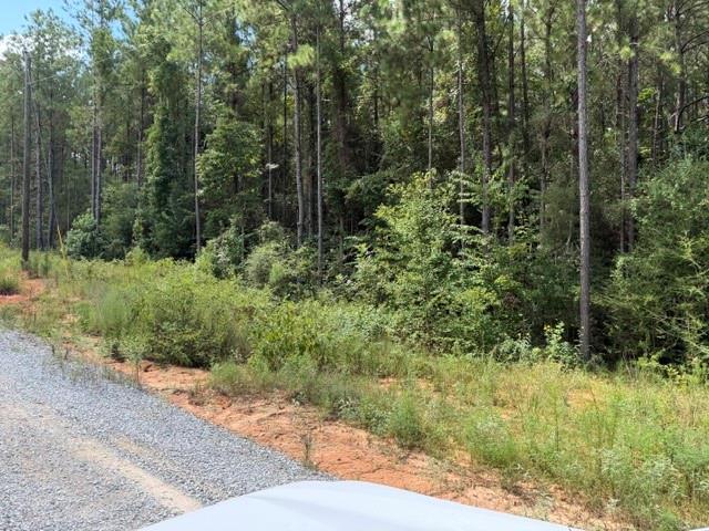 5th image of Lot 9 Bethel Rd, Franklinton, LA 70438 | MLS# 2572225