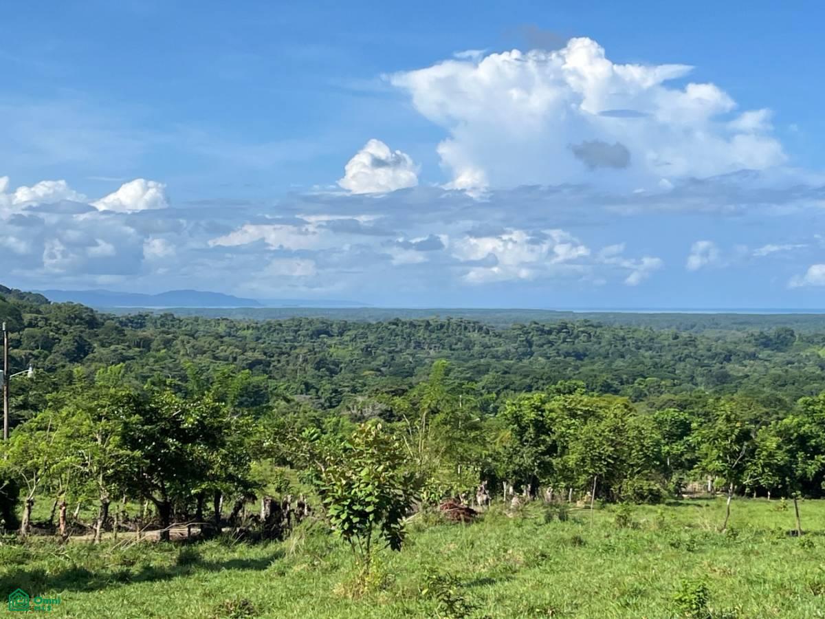 0 bed Land For Sale in Osa, Puntarenas - 1