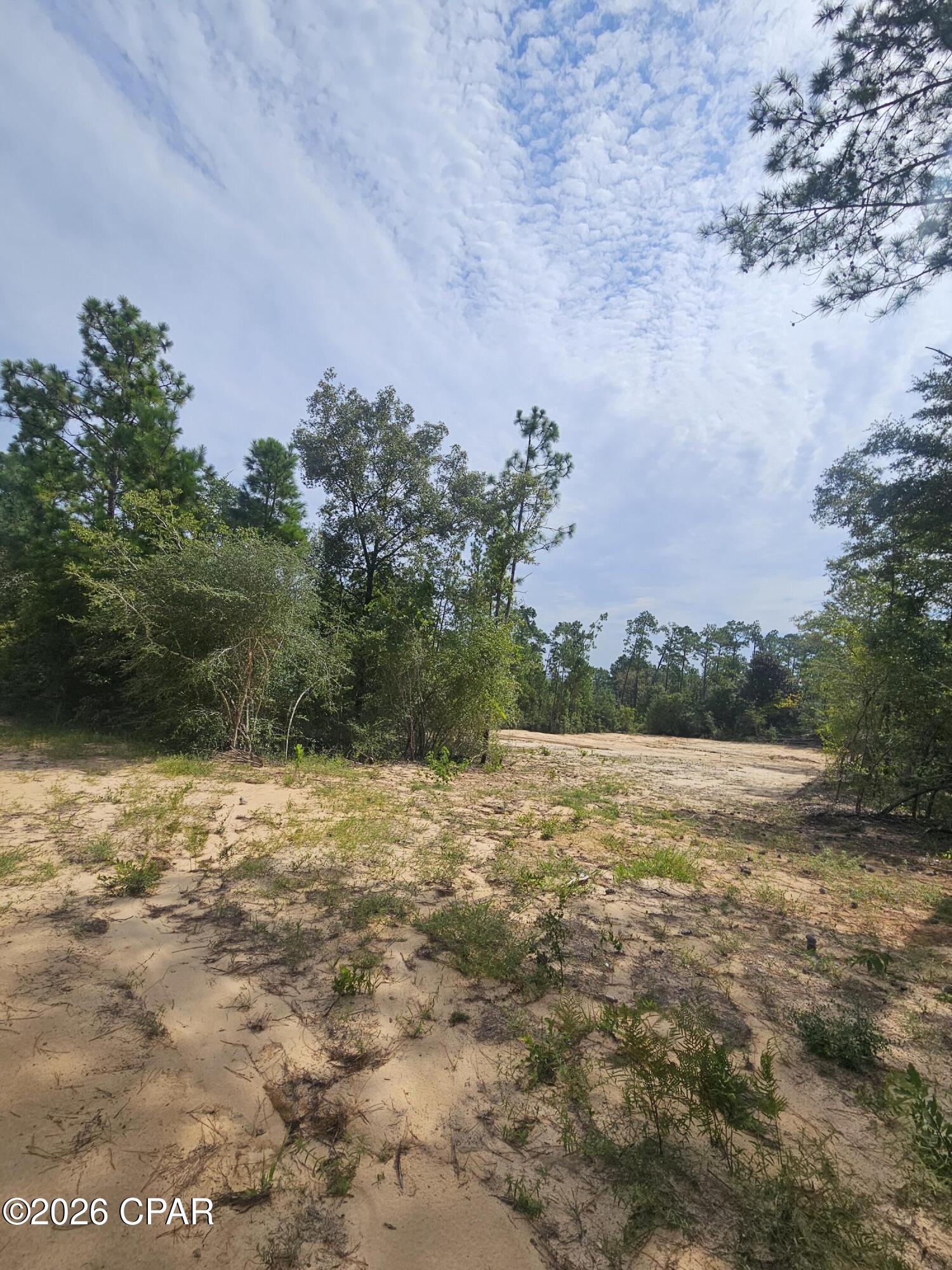 1st image of 1225 Alene Dr, Alford, FL 32420 | MLS# 794127