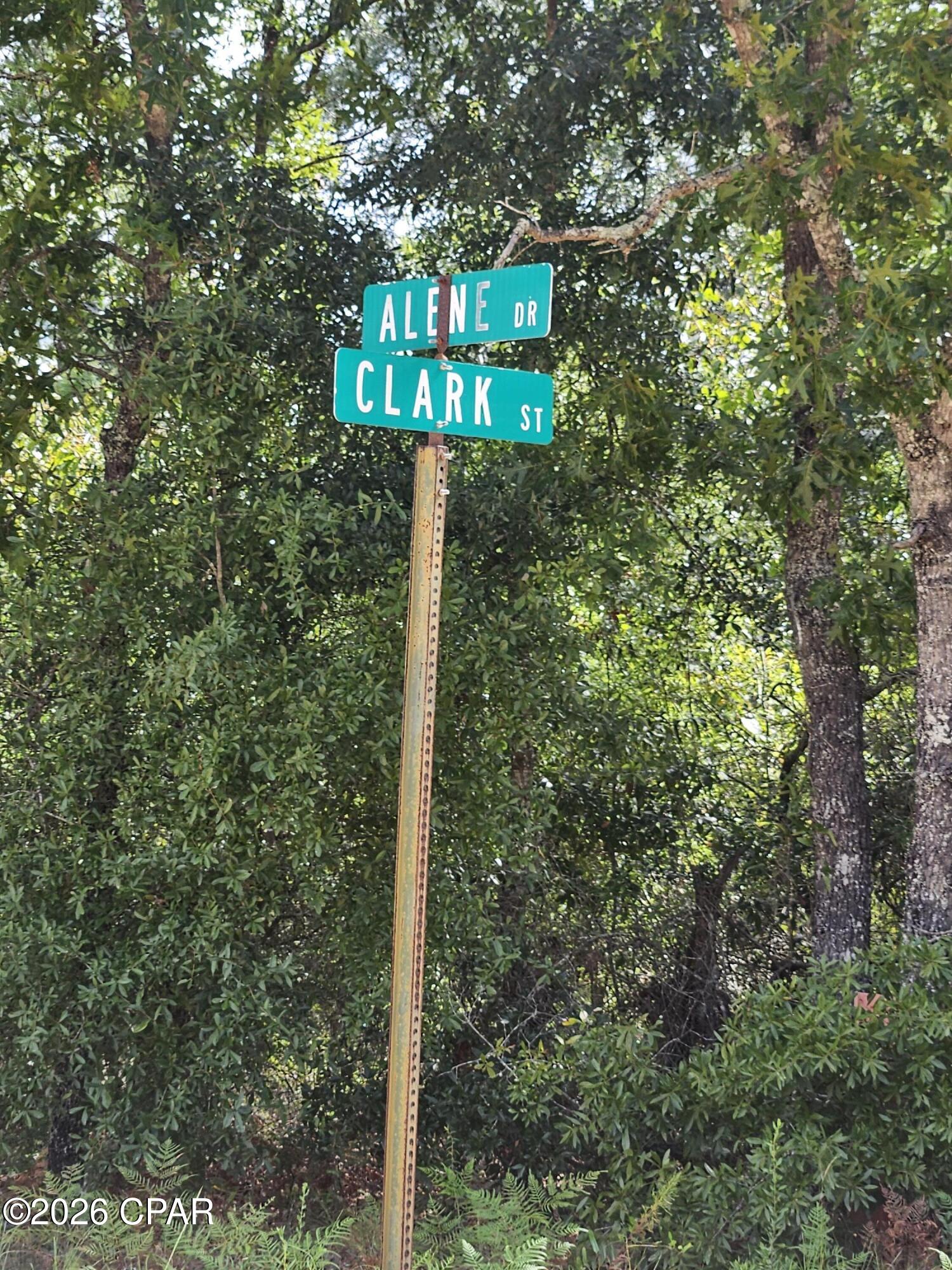5th image of 1225 Alene Dr, Alford, FL 32420 | MLS# 794127