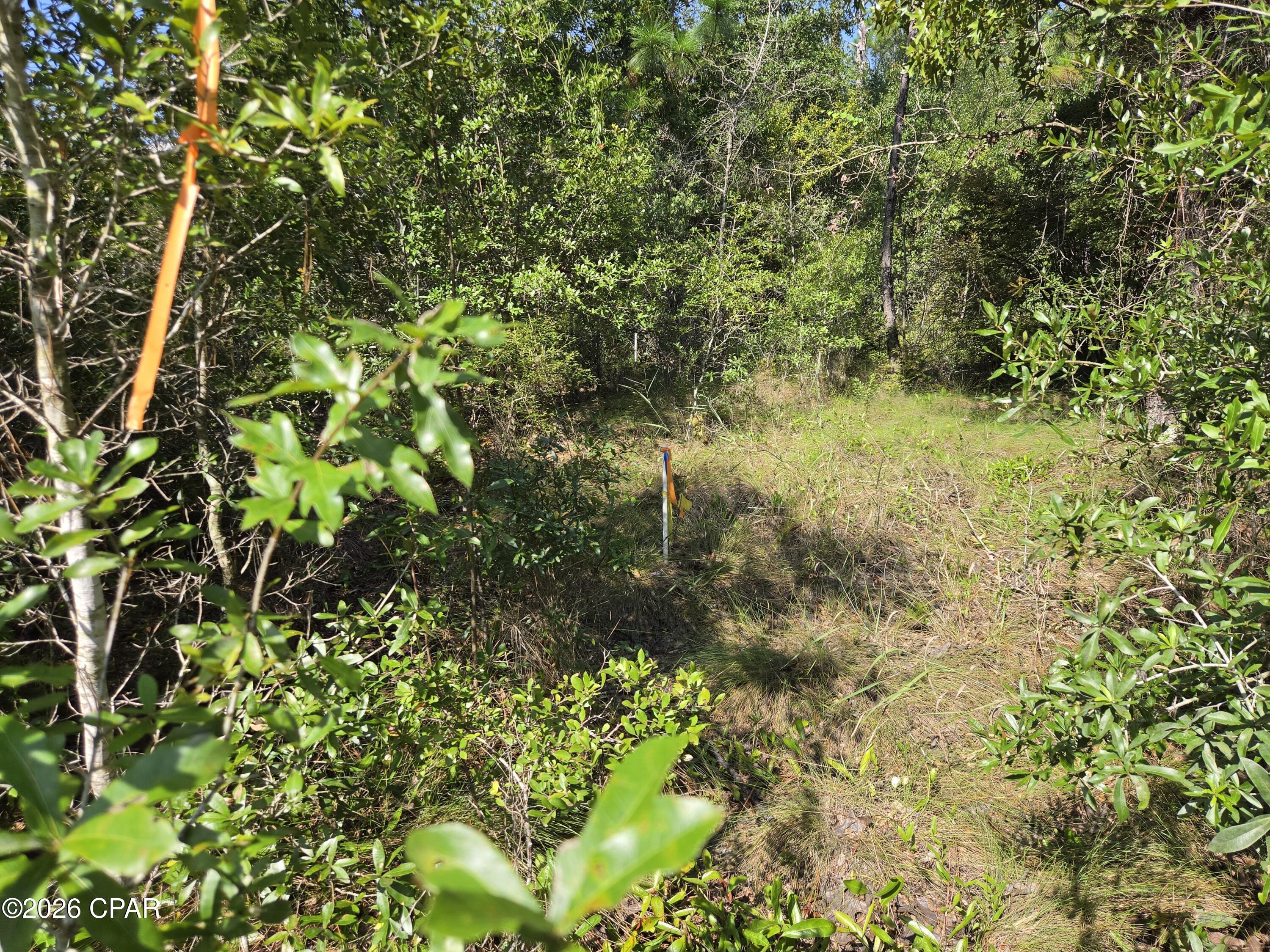 2nd image of 0000 Quail Ridge Dr, Chipley, FL 32428 | MLS# 794133