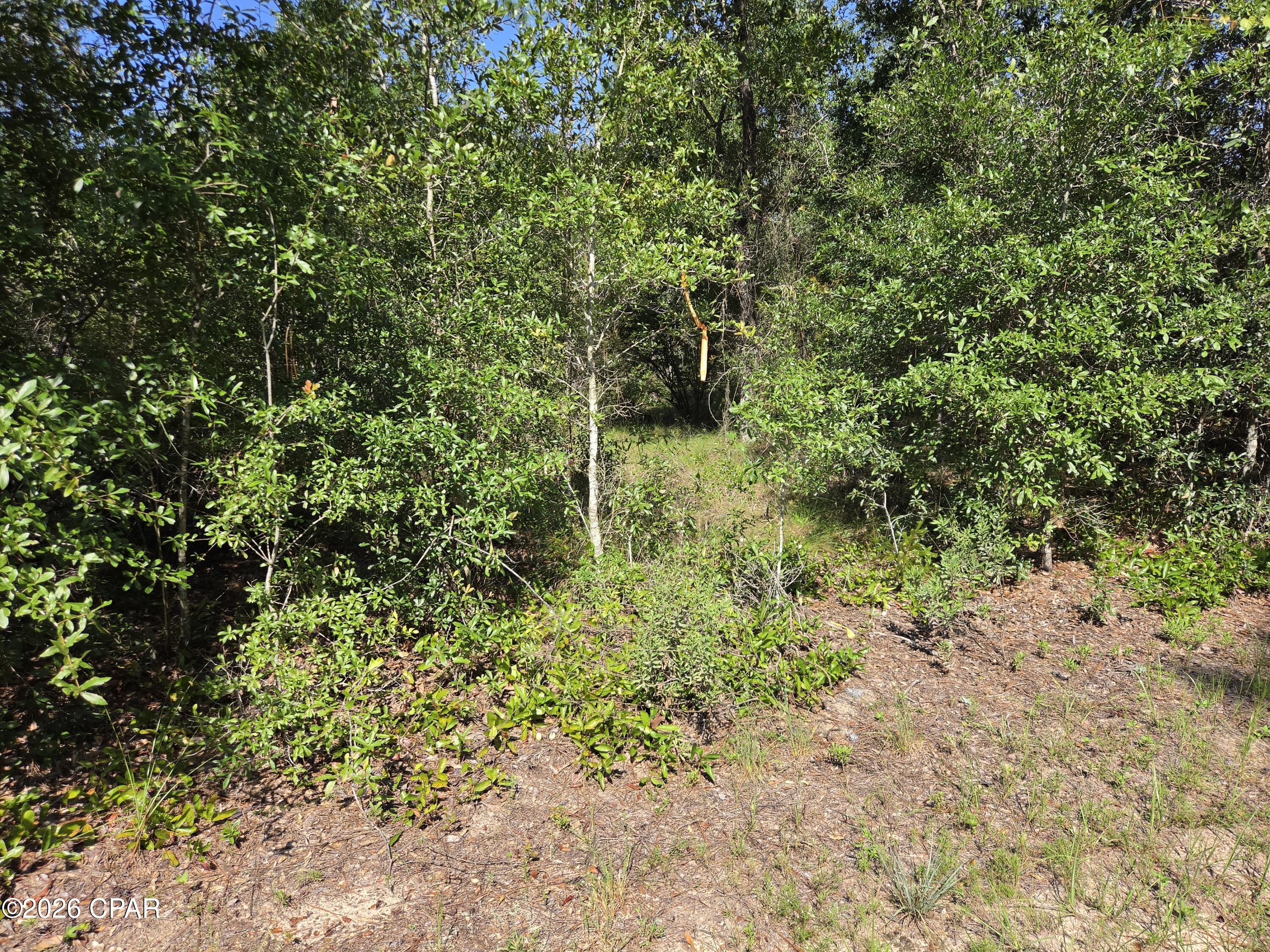 3rd image of 0000 Quail Ridge Dr, Chipley, FL 32428 | MLS# 794133