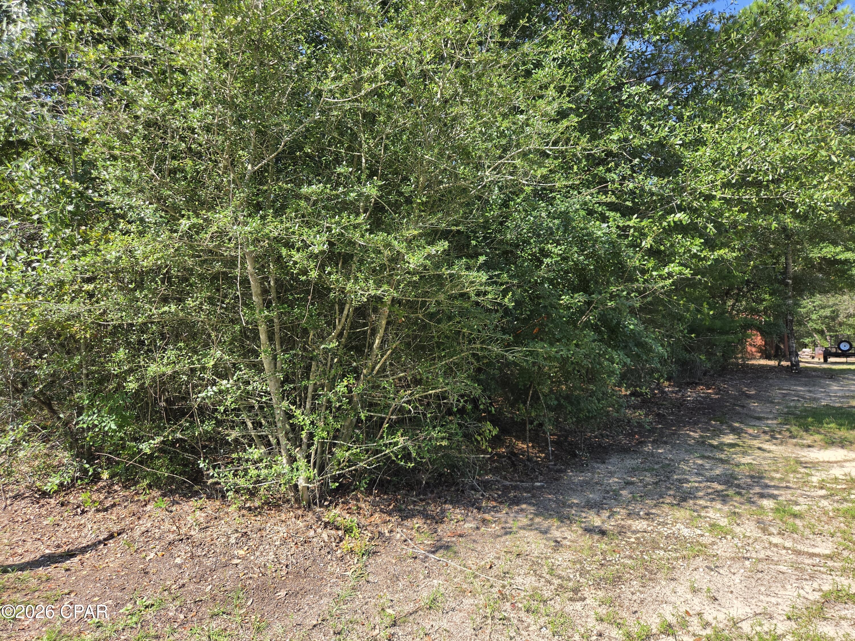 5th image of 0000 Quail Ridge Dr, Chipley, FL 32428 | MLS# 794133