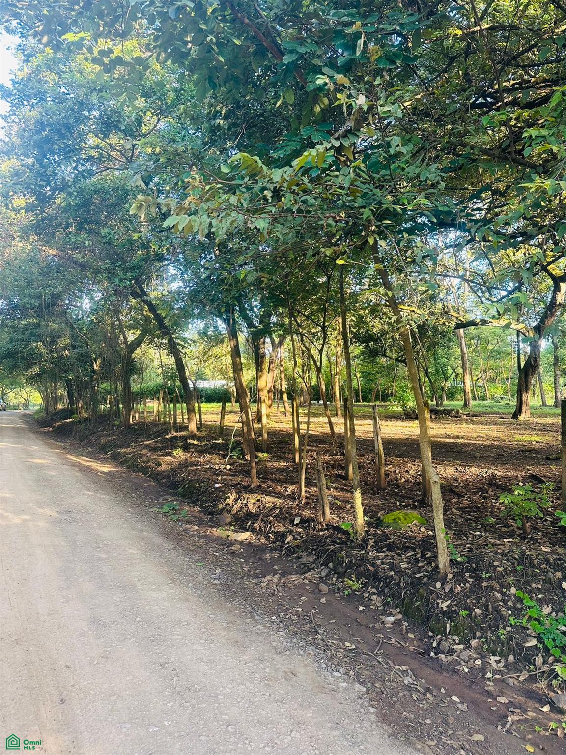  bed Land For Sale in Santa Cruz, Guanacaste - 1