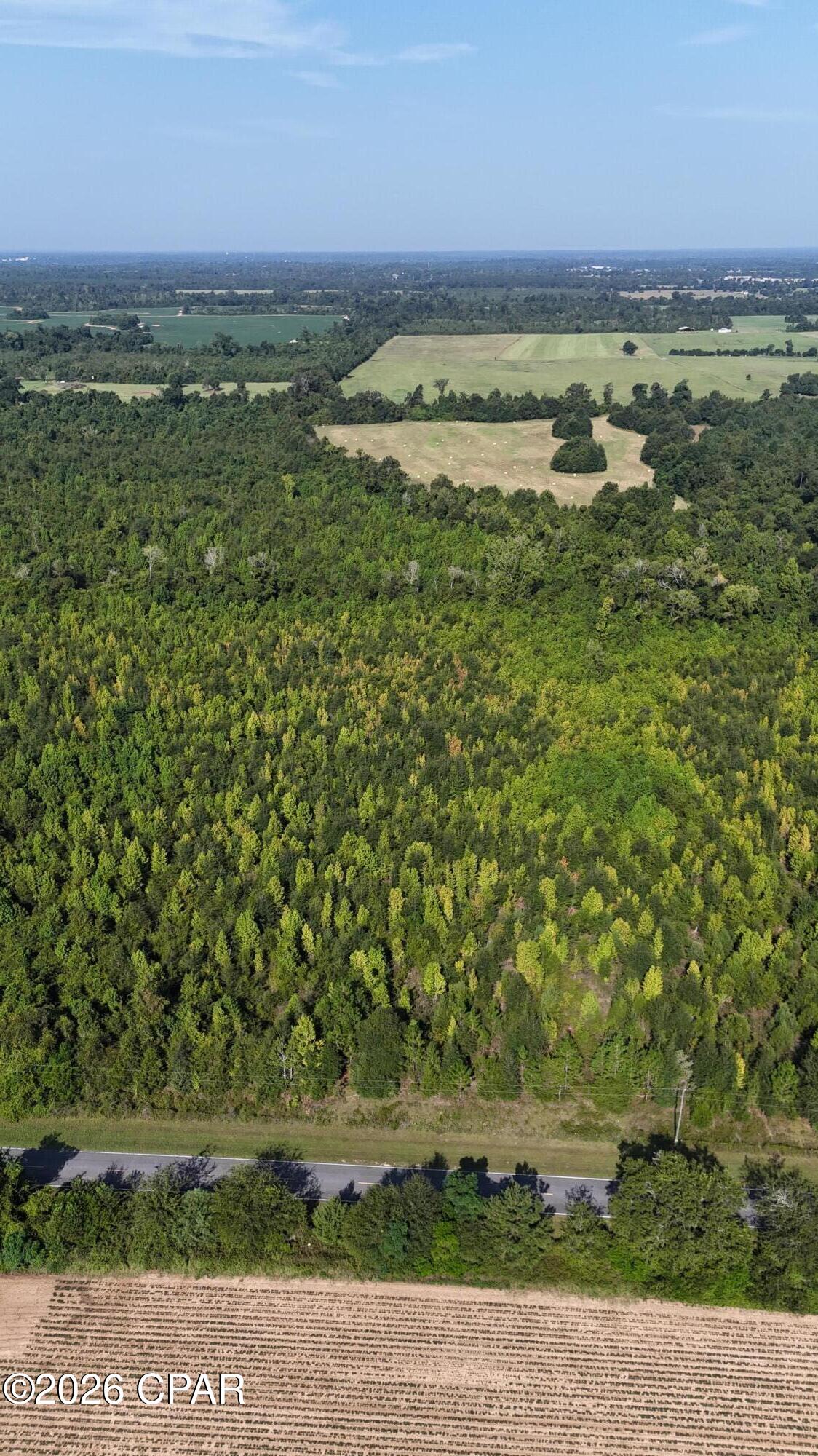 2nd image of 000 Poplar Springs Rd, Marianna, FL 32446 | MLS# 794190