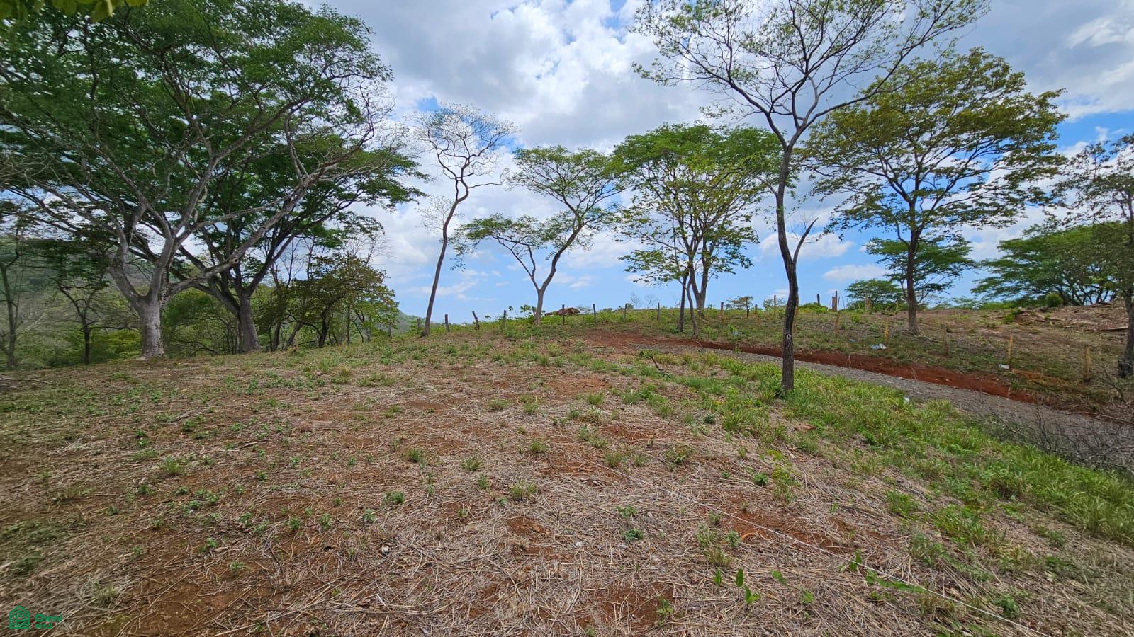  bed Land For Sale in Santa Cruz, Guanacaste - 1
