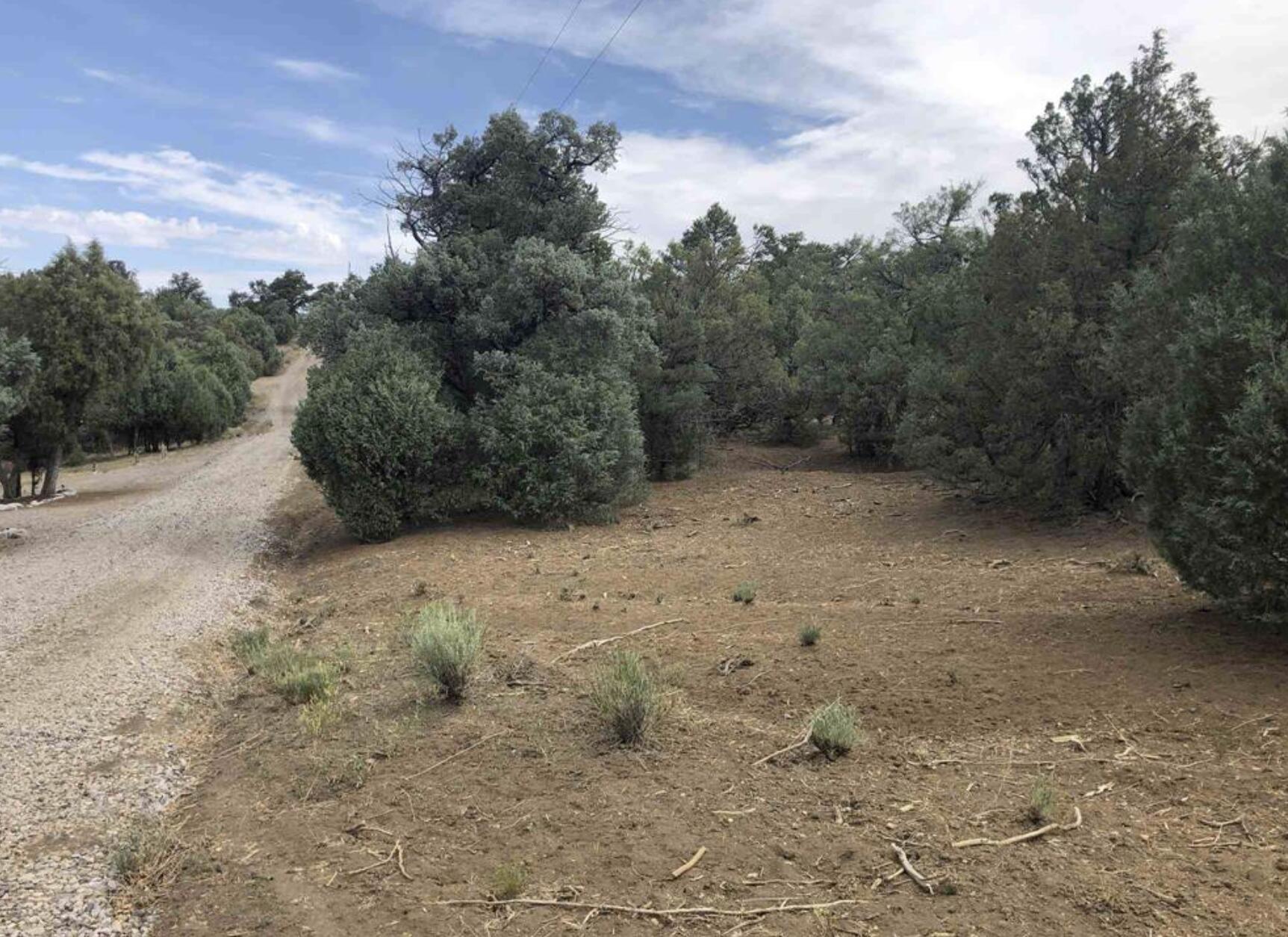 3rd image of S Leaning Lot A, Tierra Amarilla, NM 87575 | MLS# 1109385