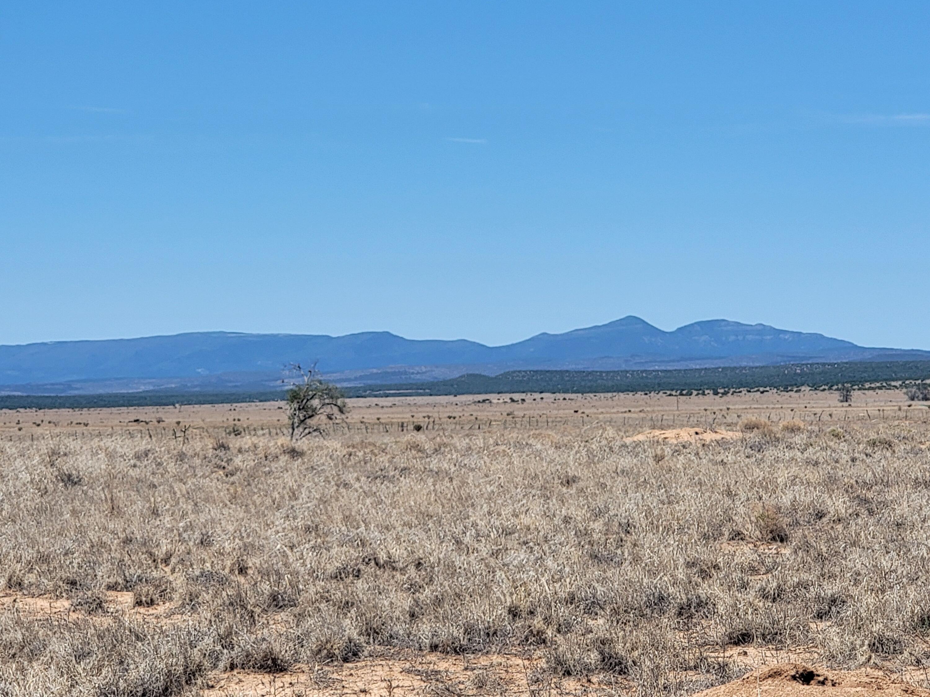 2nd image of 10 Butterfly Ln, Mc Intosh, NM 87032 | MLS# 1109402