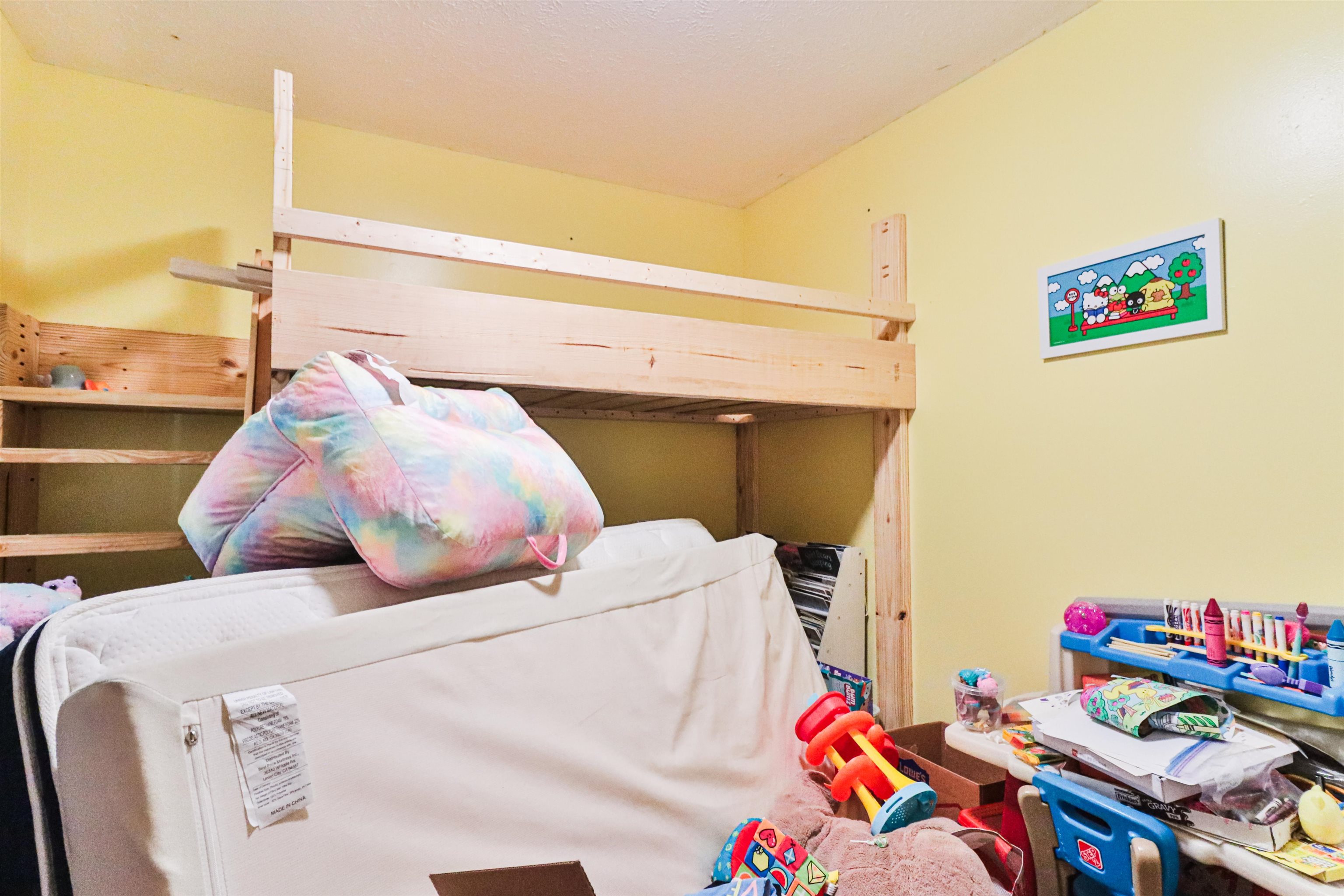 2620541 | Photo 13