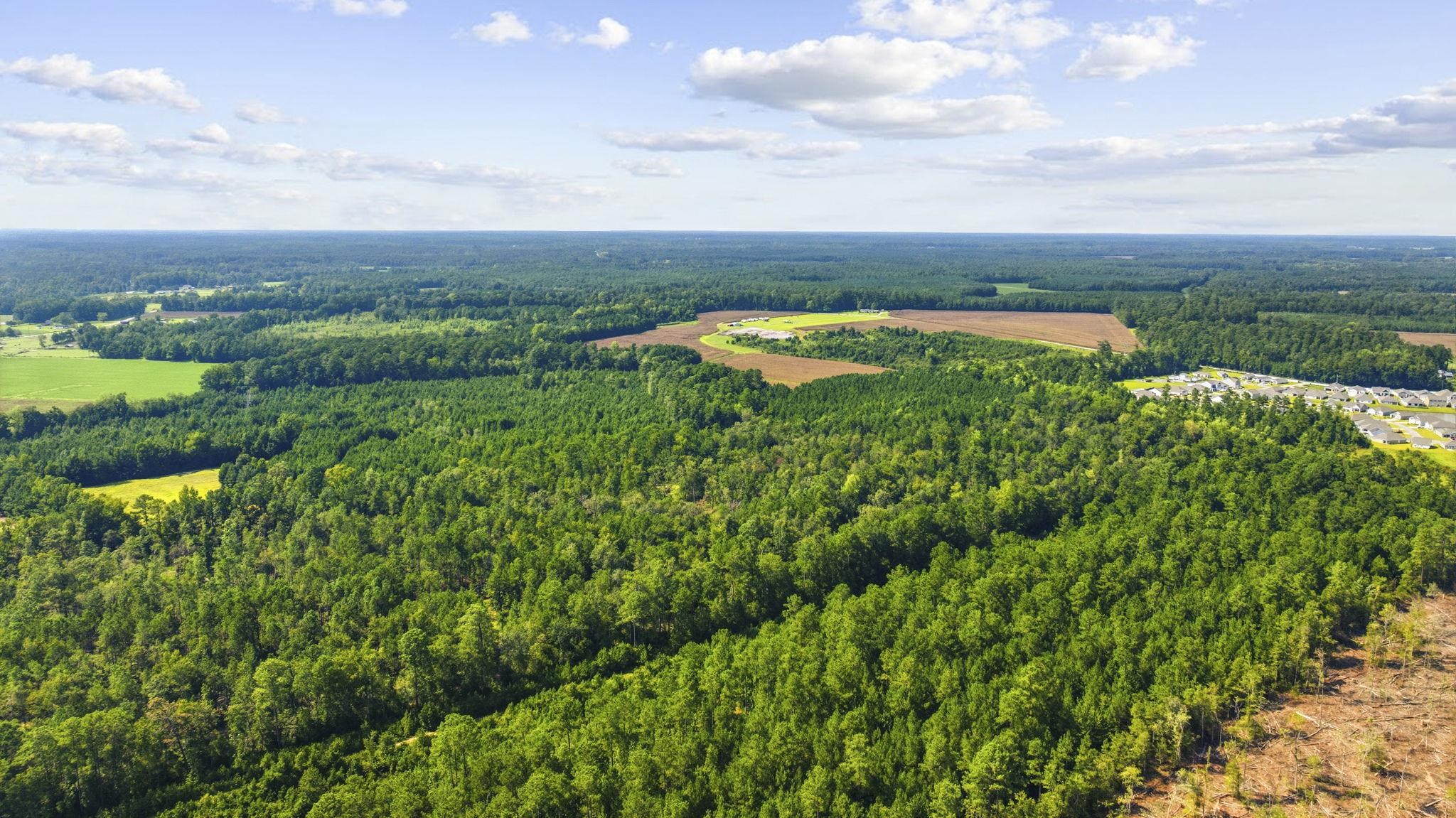 2nd image of Tbd Fries Bay Rd, Loris, SC 29569 | MLS# 2620546