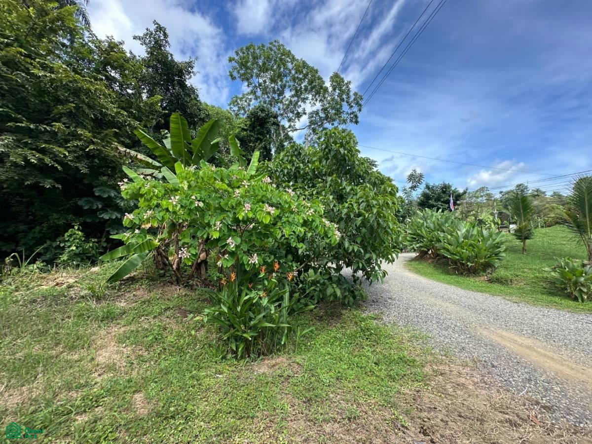 0 bed Land For Sale in Garabito, Puntarenas - 1