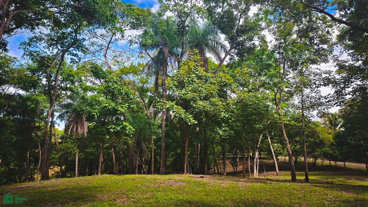  bed Land For Sale in Garabito, Puntarenas - 1