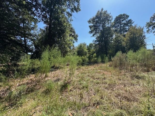 9th image of 33555 John Barber Rd, Holden, LA 70744 | MLS# 2573225