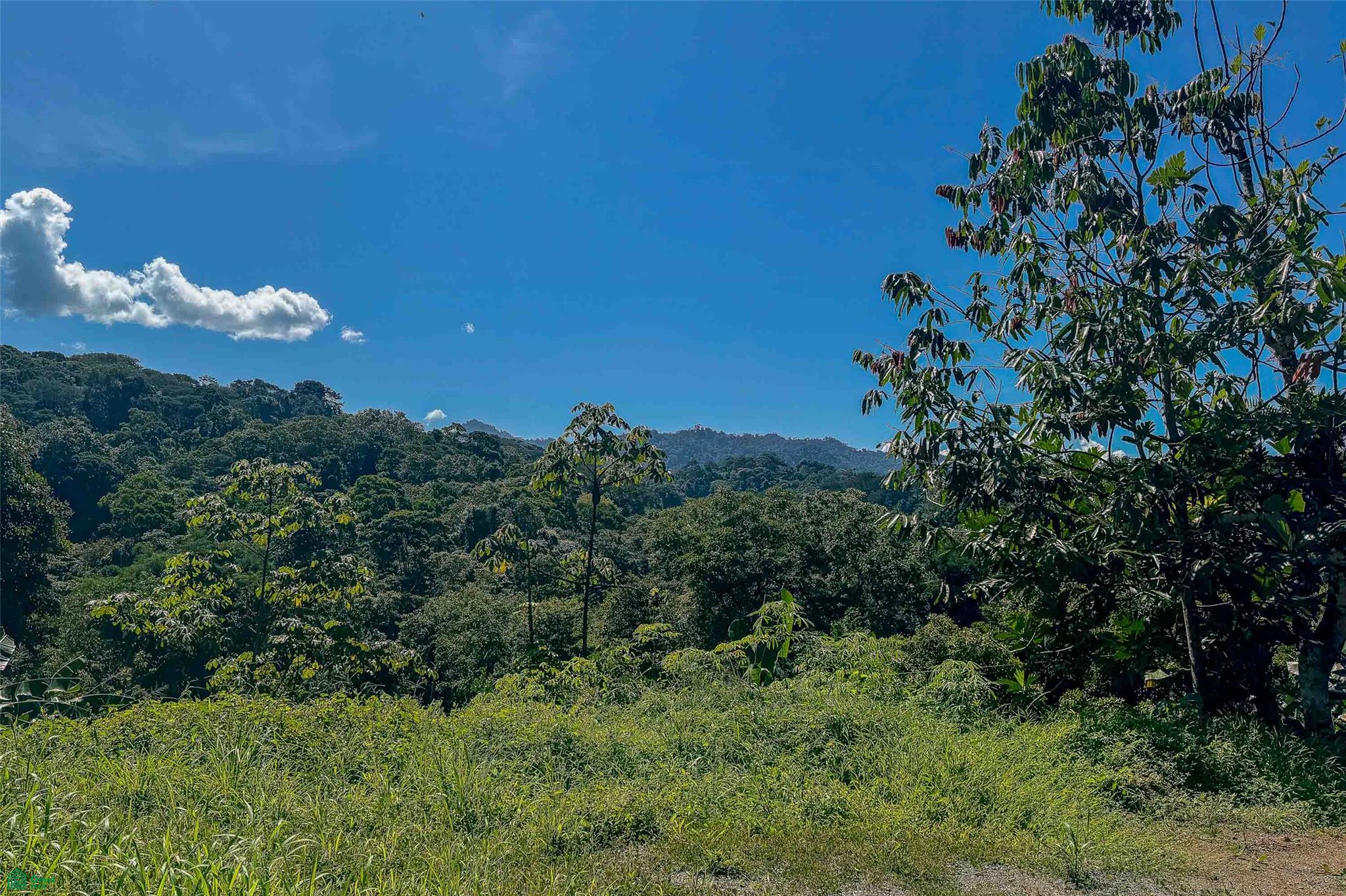  bed Land For Sale in Naranjito, Puntarenas - 1