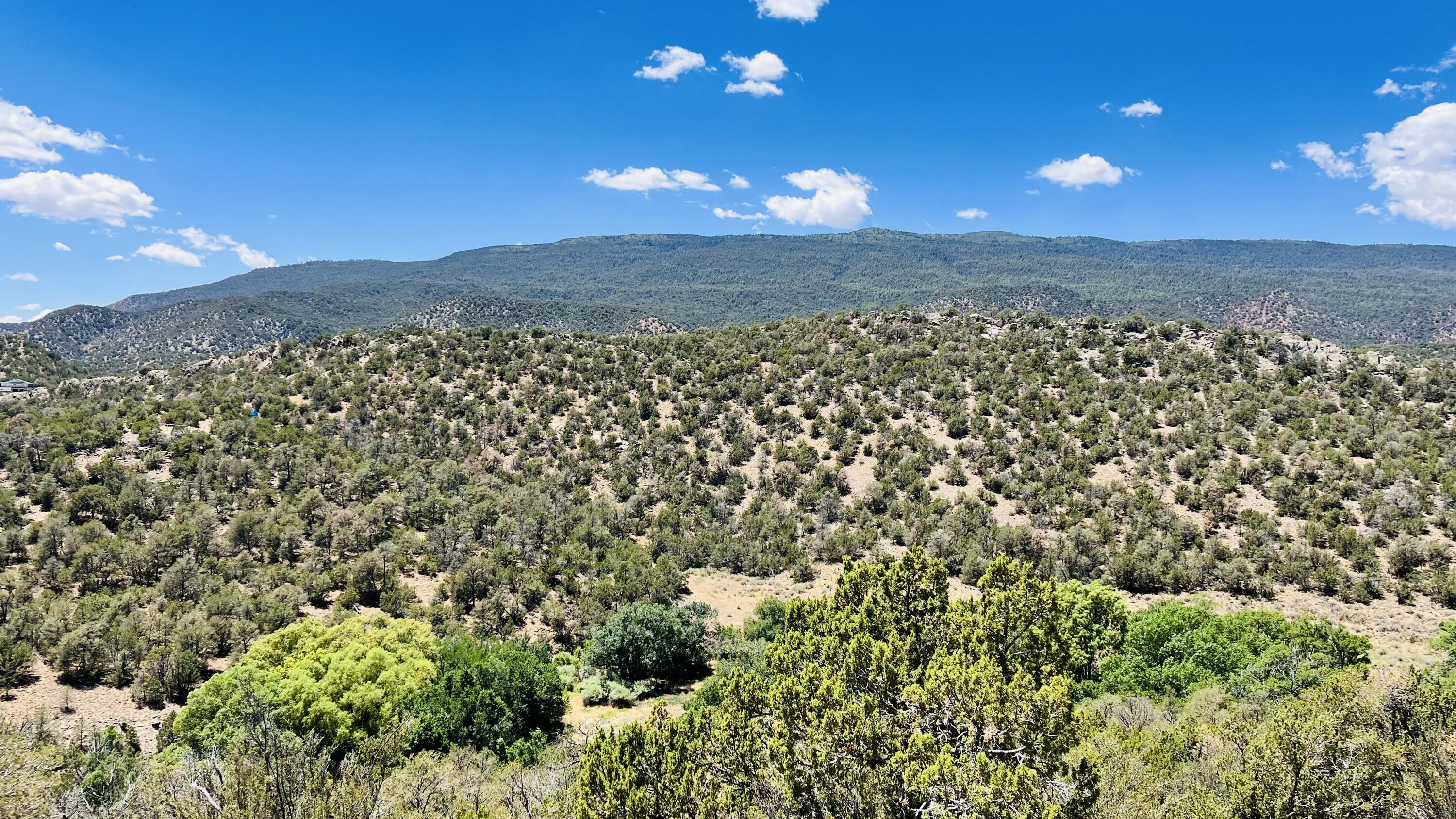 2nd image of 18 Larry Ln, Cedar Crest, NM 87008 | MLS# 1109664