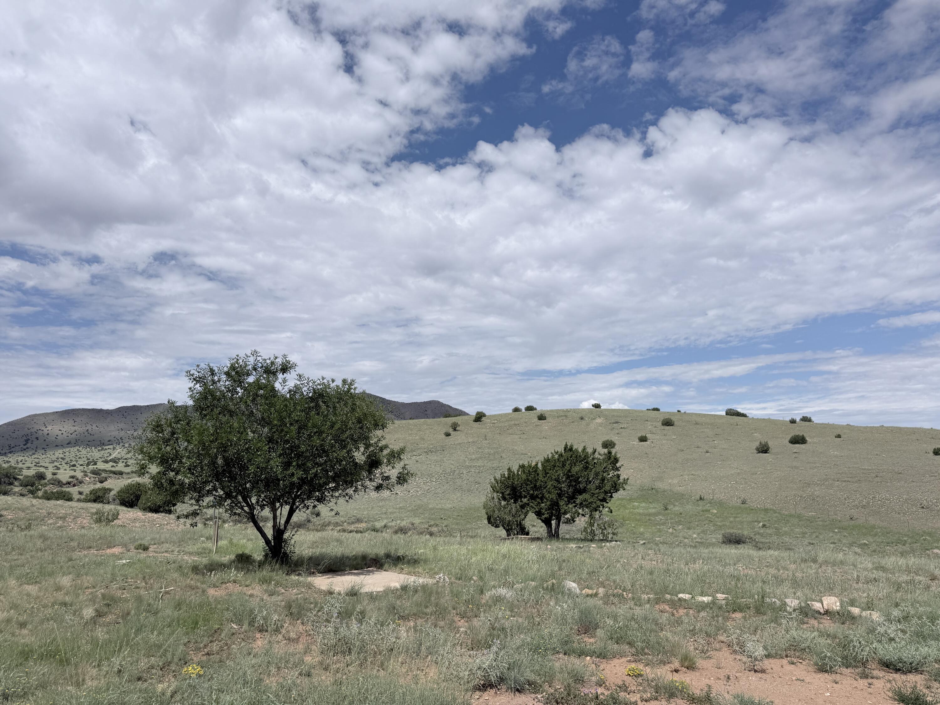 Photo 3 of Sale Pending at 26 La Hinca Rd, Magdalena, NM 87825 | MLS# 1109696 | Listing updated on 2026-10-09