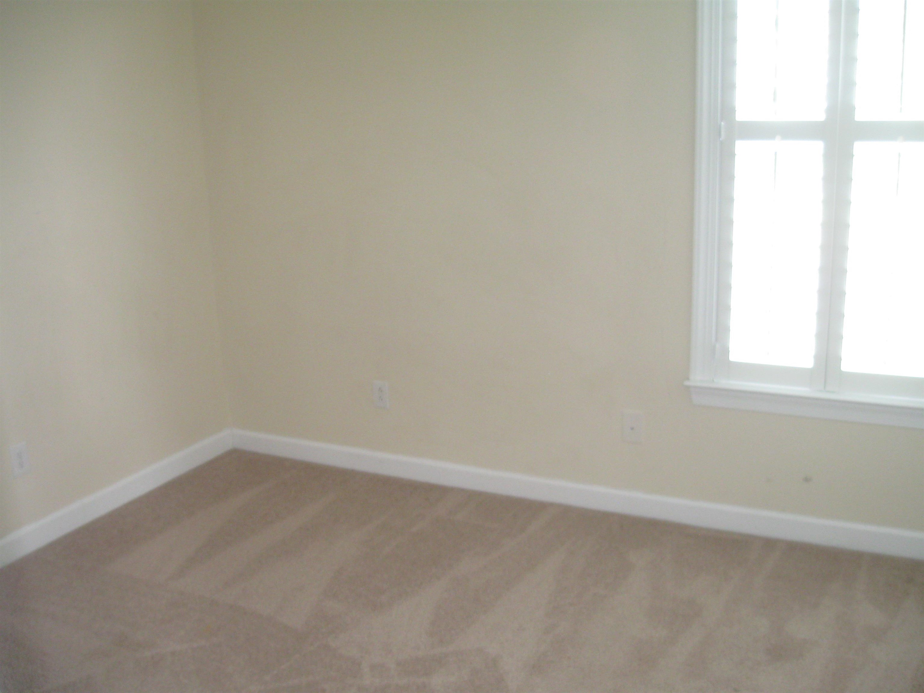 2620872 | Photo 29
