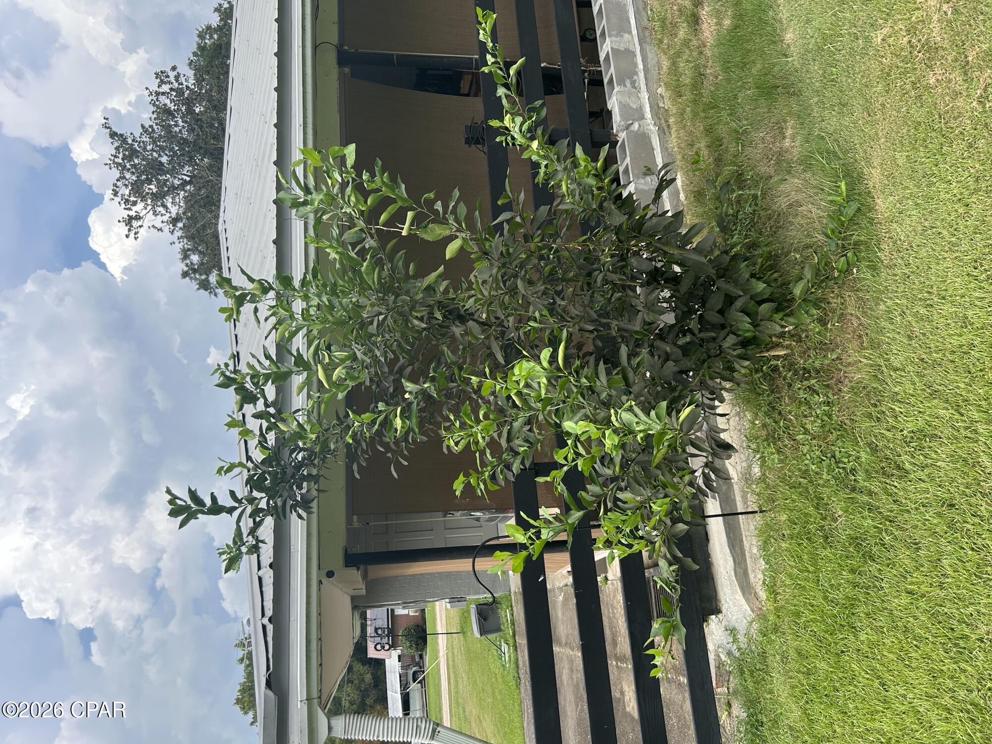 34th image of 402 E Iowa Ave, Bonifay, FL 32425 | MLS# 794567