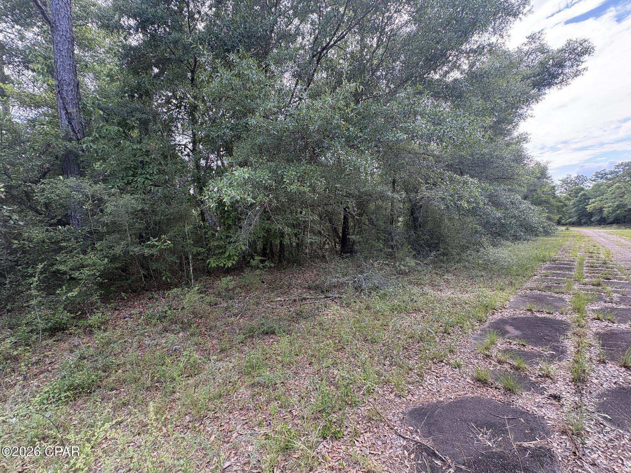 2nd image of Lot 39 Birchwood Dr, Chipley, FL 32428 | MLS# 794584