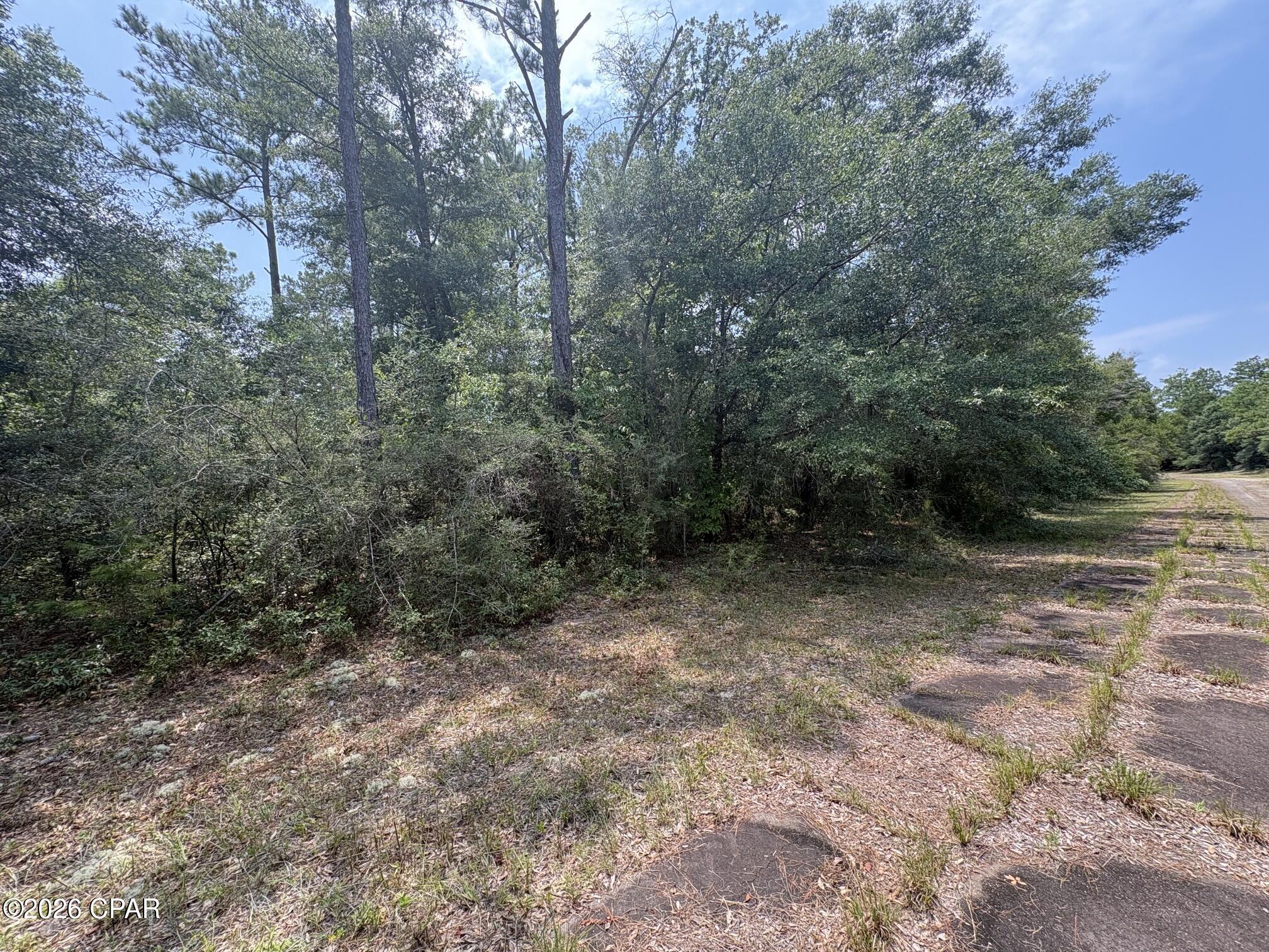 3rd image of Lot 39 Birchwood Dr, Chipley, FL 32428 | MLS# 794584