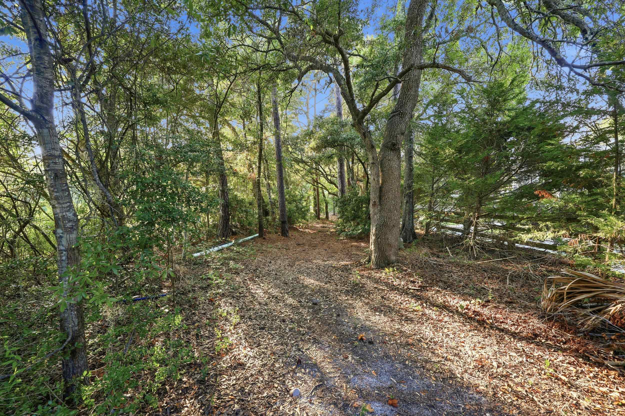 2621205 | Photo 60