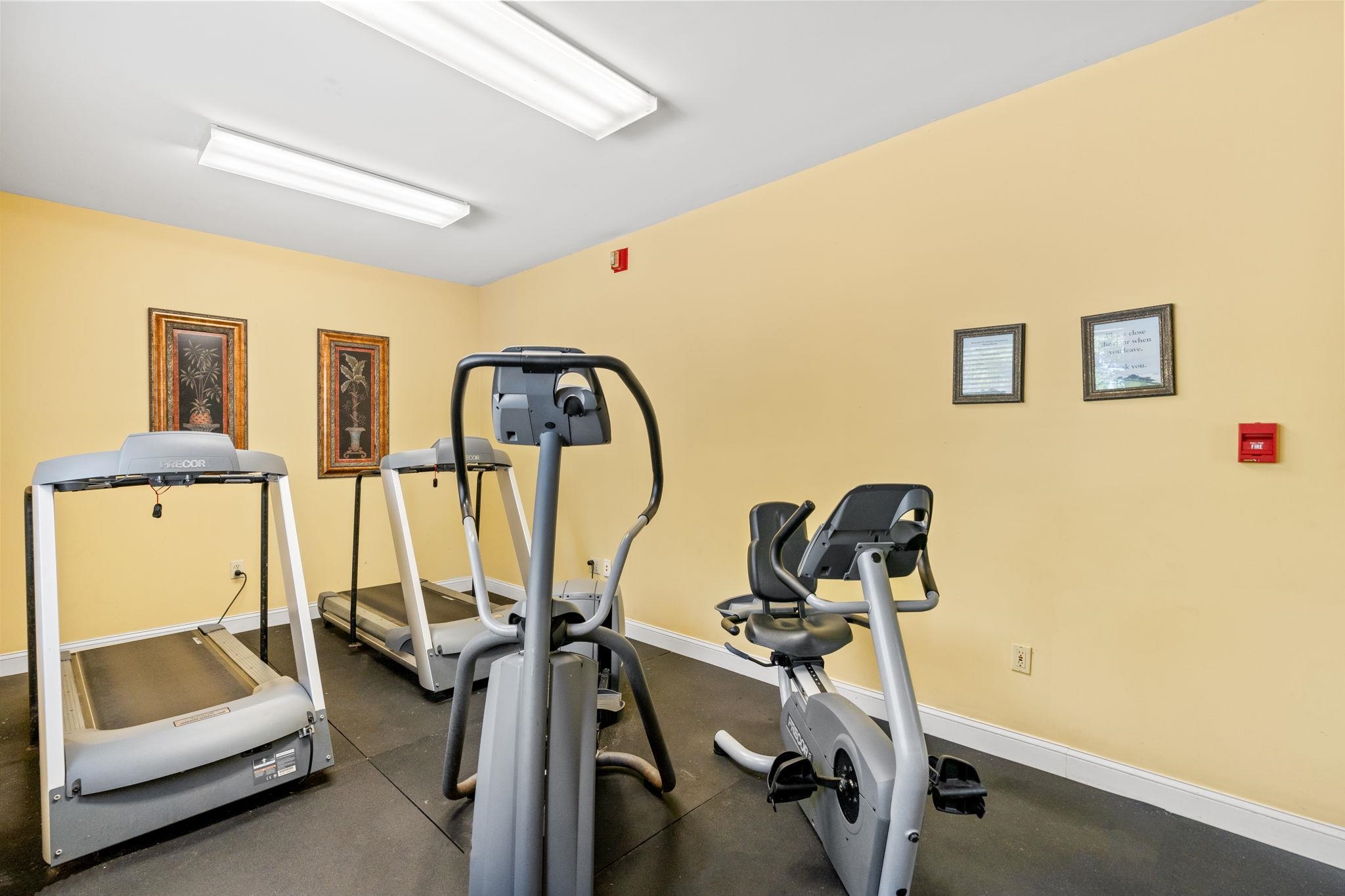 273 Golden Bear Dr. 