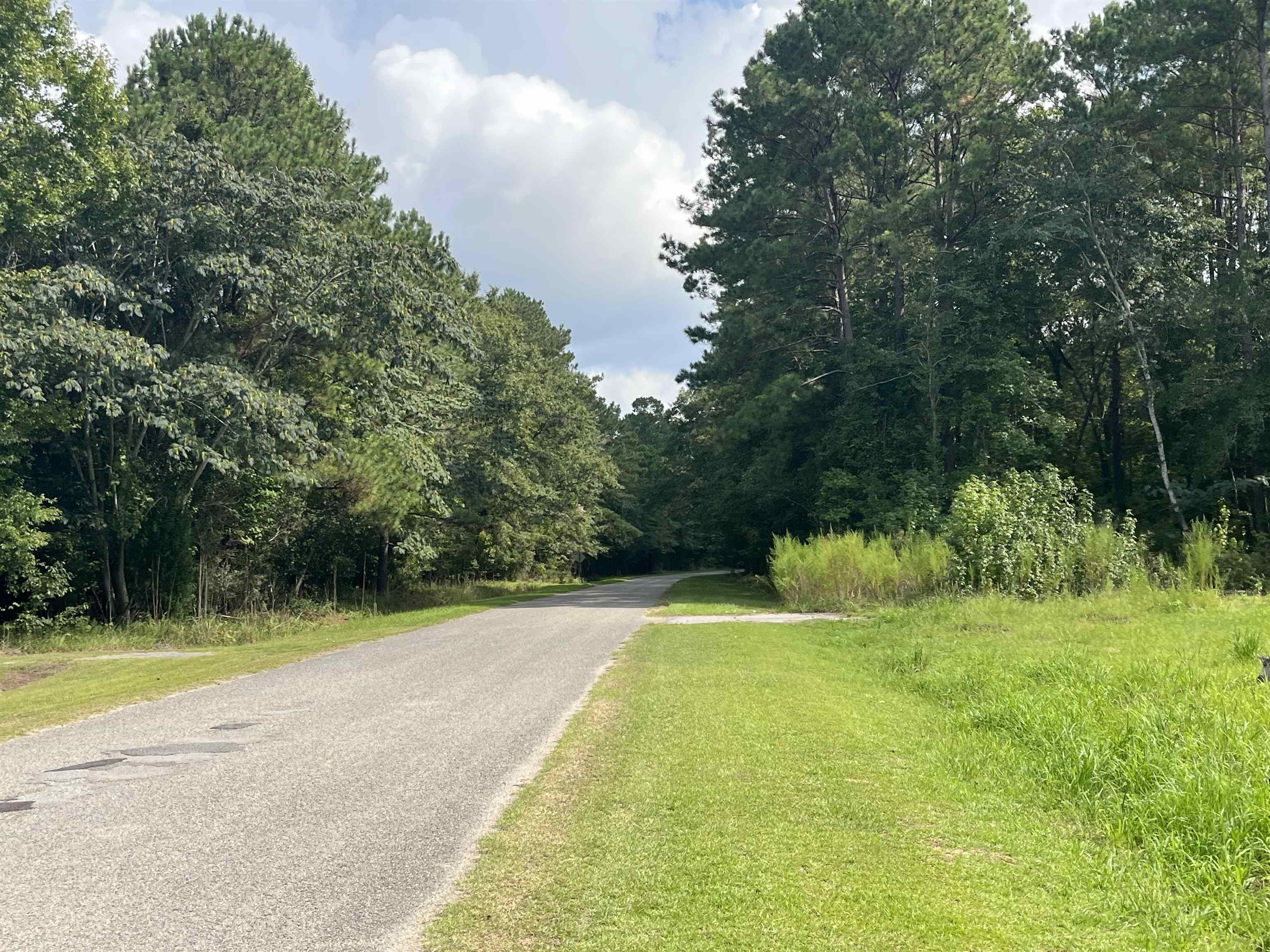 4th image of 408 Eva Loop, Salters, SC 29590 | MLS# 2621289