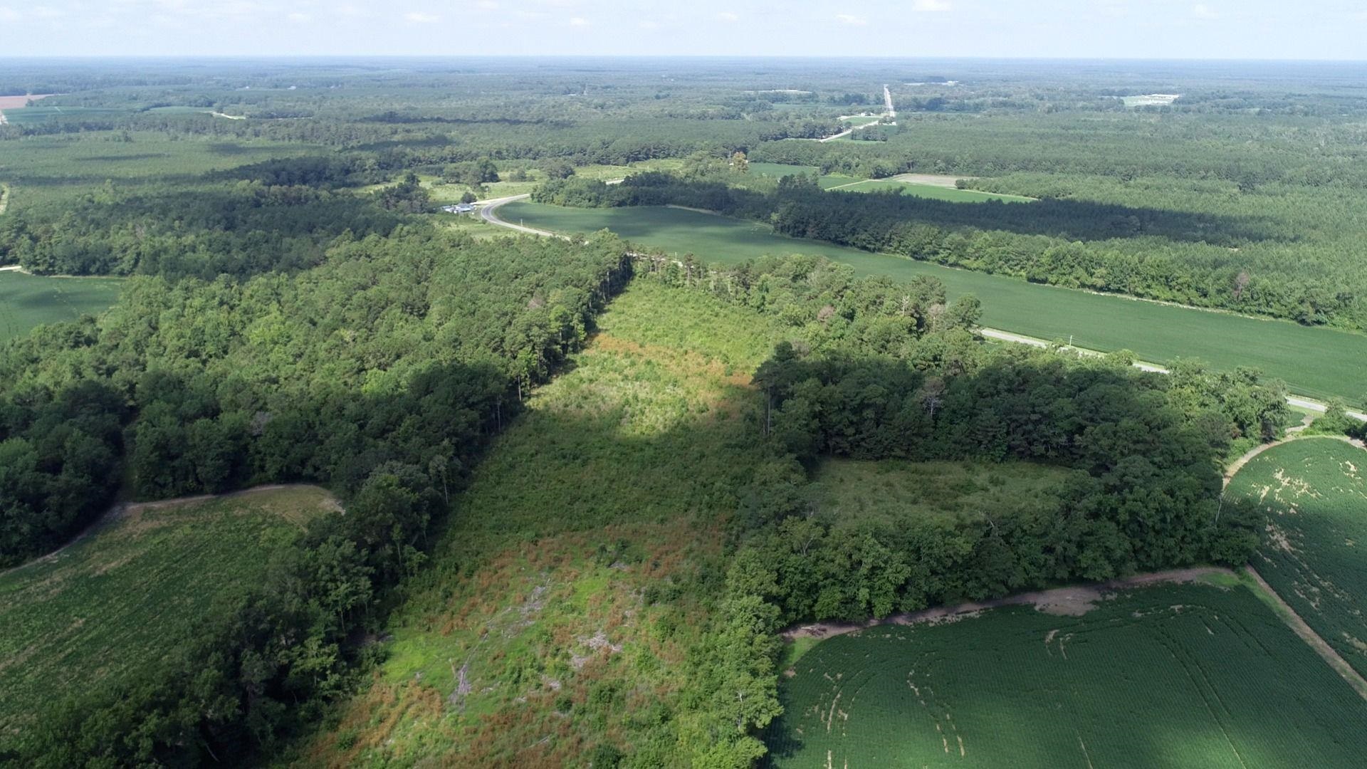 Photo 3 of Land for sale at Haynes Lennon Hwy, Chadbourn, SC 28431 | MLS# 2621331 | Listing updated on 2026-09-28