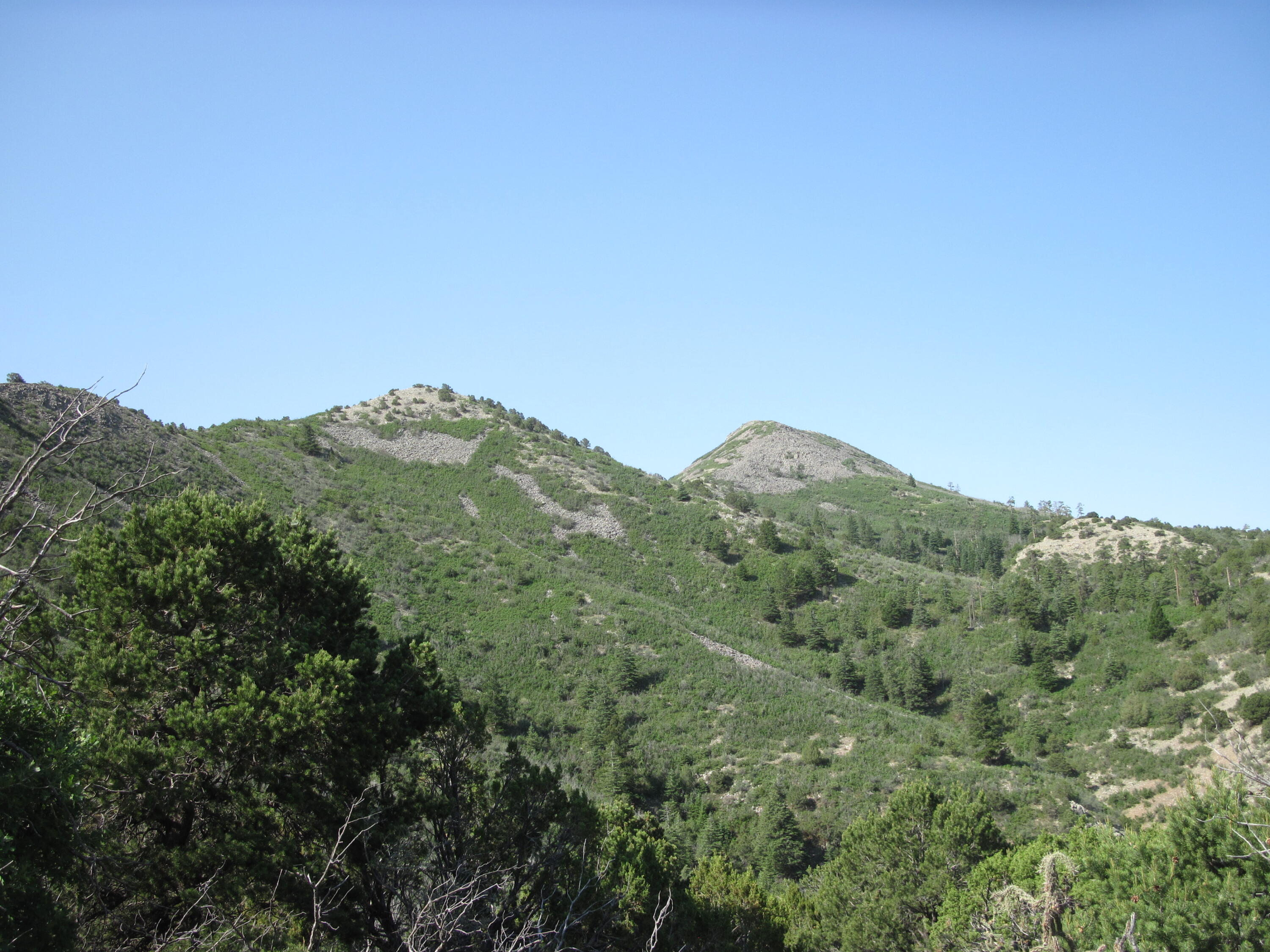 Photo 1 of Sale Pending at 294 Ranchitos Rd, Sandia Park, NM 87047 | MLS# 1110014 | Listing updated on 2026-09-16