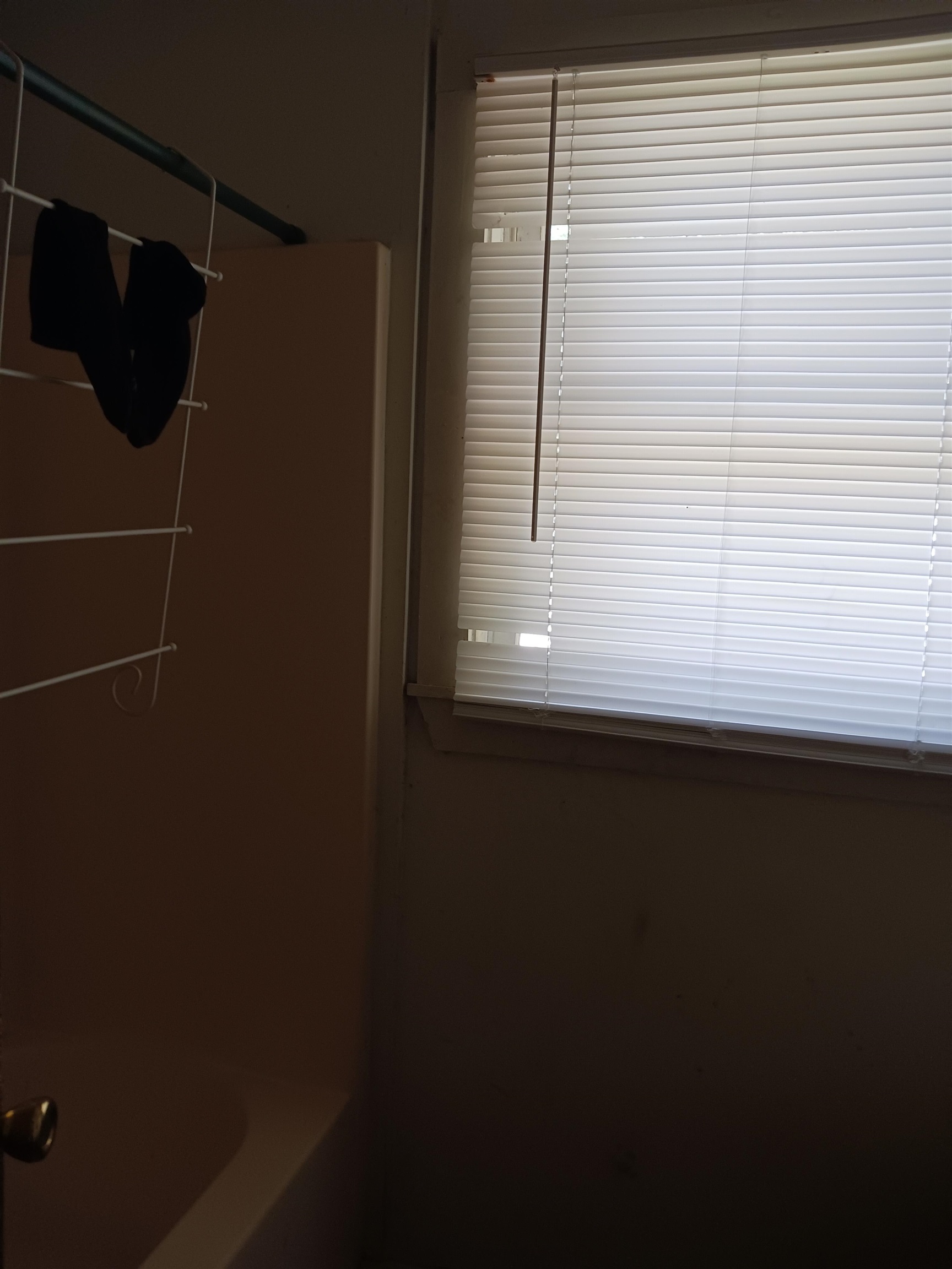 2621630 | Photo 2