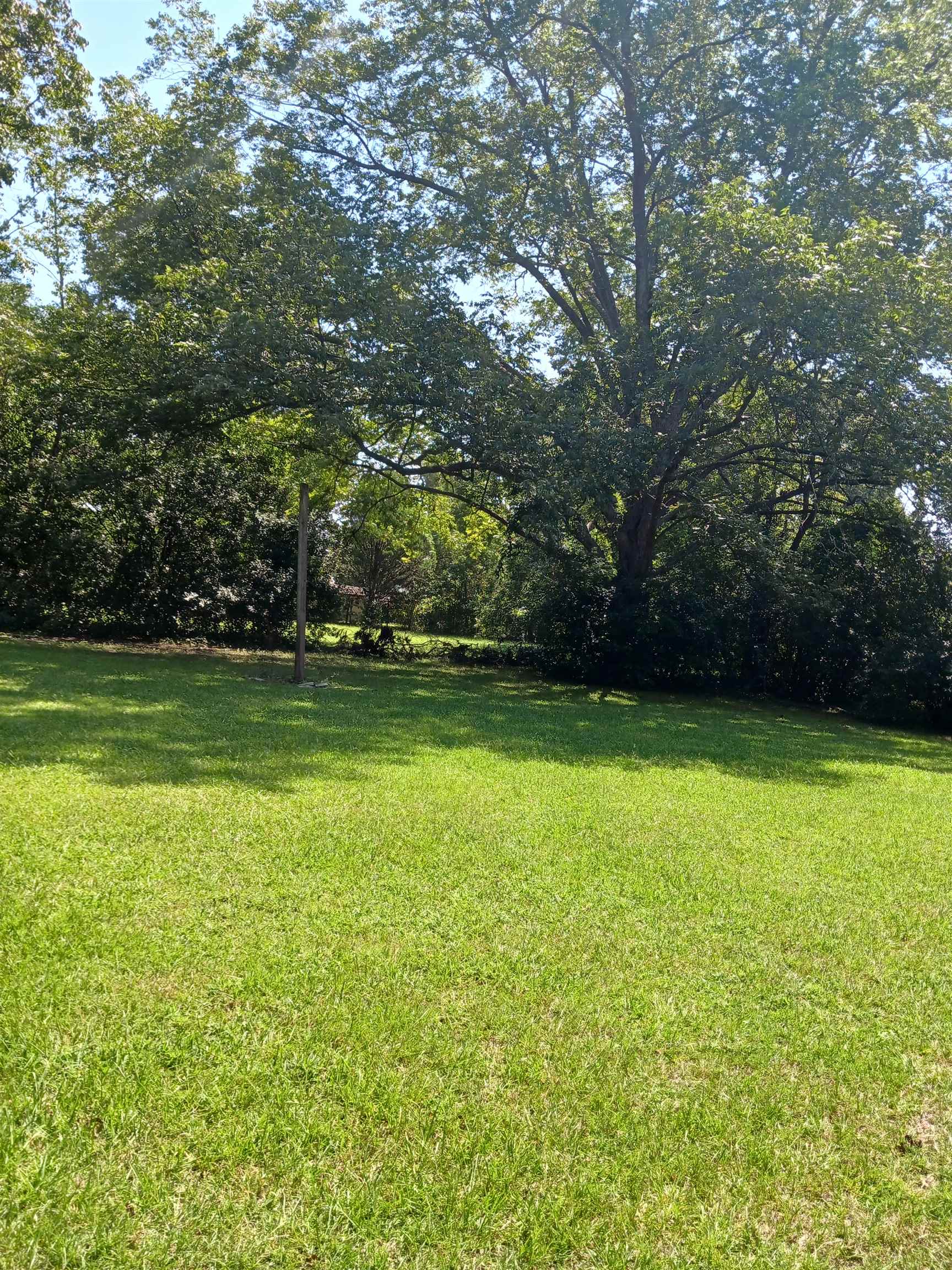 2621630 | Photo 8