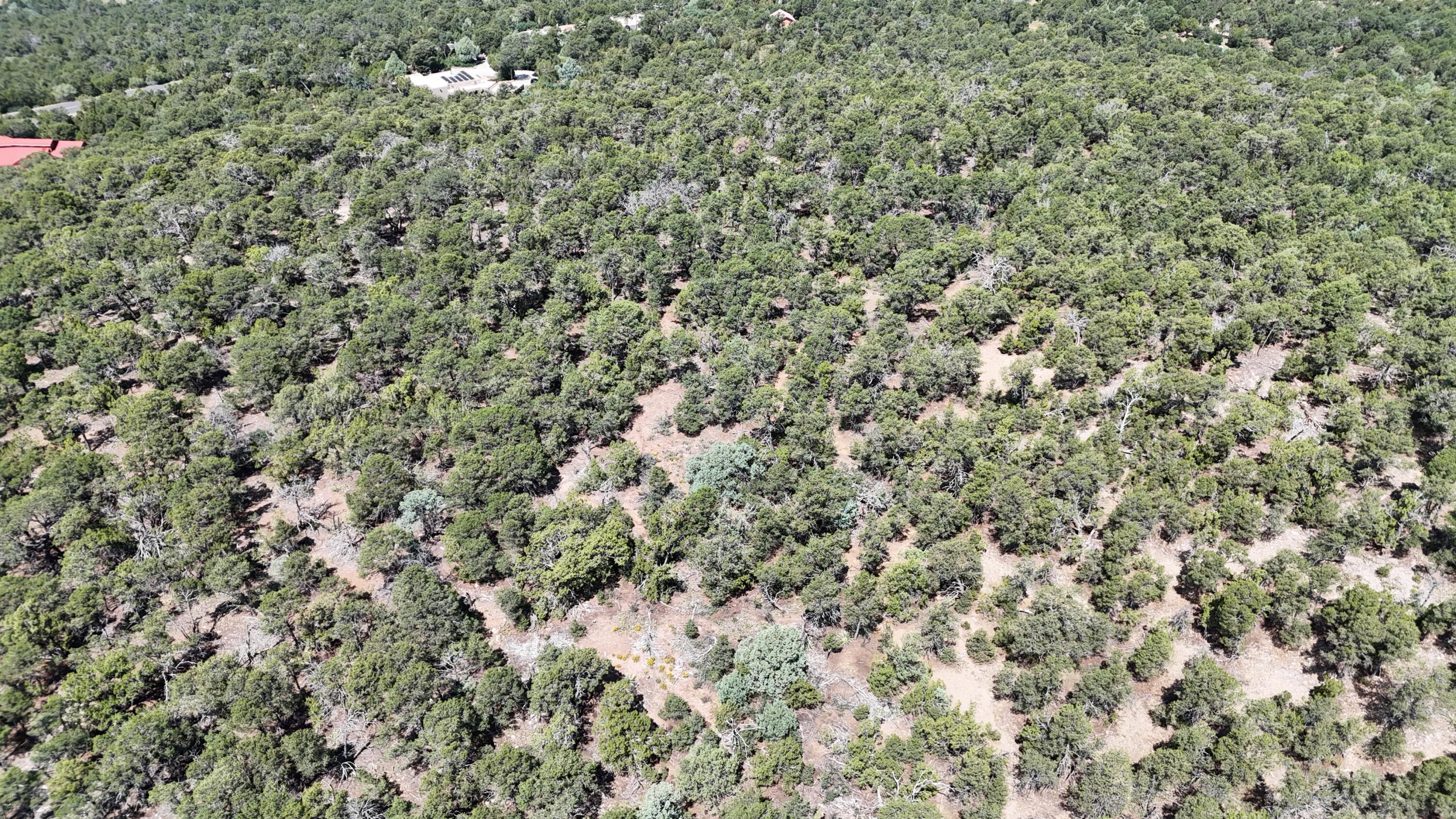 Photo 2 of Land for sale at 30 Rancho Verde Rd, Tijeras, NM 87059 | MLS# 1110216 | Listing updated on 2026-09-04