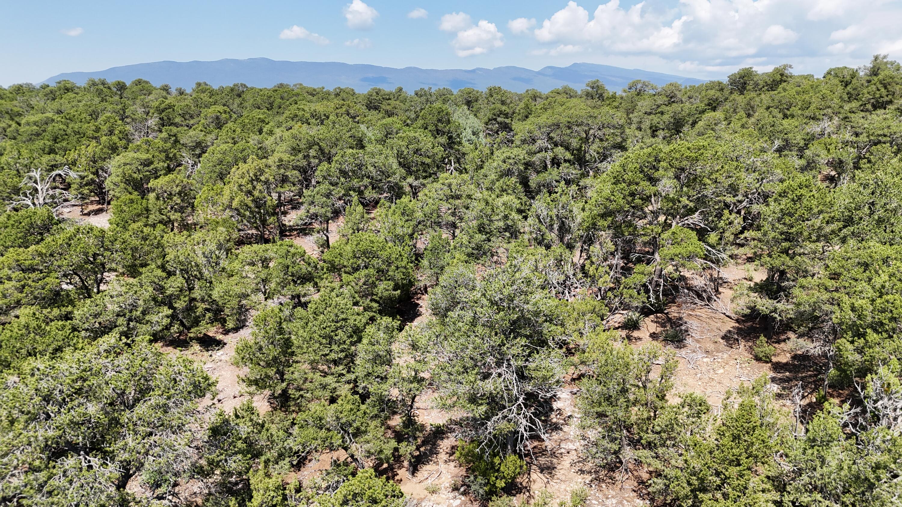 Photo 2 of Land for sale at 26 & 30 Rancho Verde Rd, Tijeras, NM 87059 | MLS# 1110220 | Listing updated on 2026-09-01