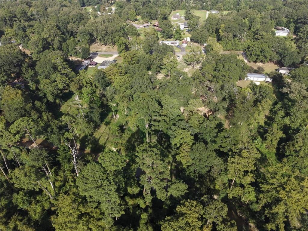 Photo 4 of Land for sale at 26351 S Satsuma Rd, Livingston, LA 70754 | MLS# 2575225 | Listing updated on 2026-09-08