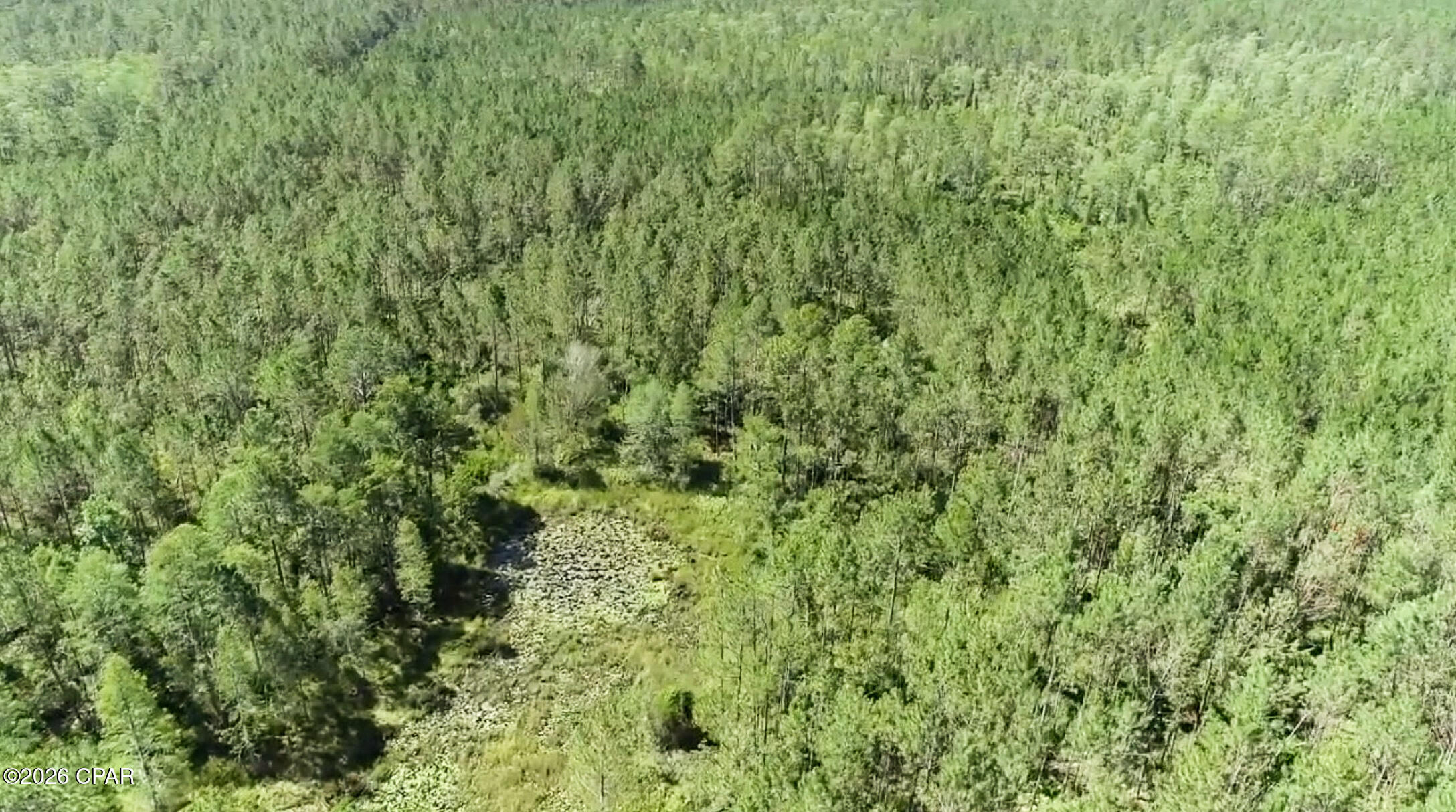 Photo 2 of Land for sale at 0000 Sw Vacant Wesley Rd, Madison, FL 32340 | MLS# 794930 | Listing updated on 2026-09-02