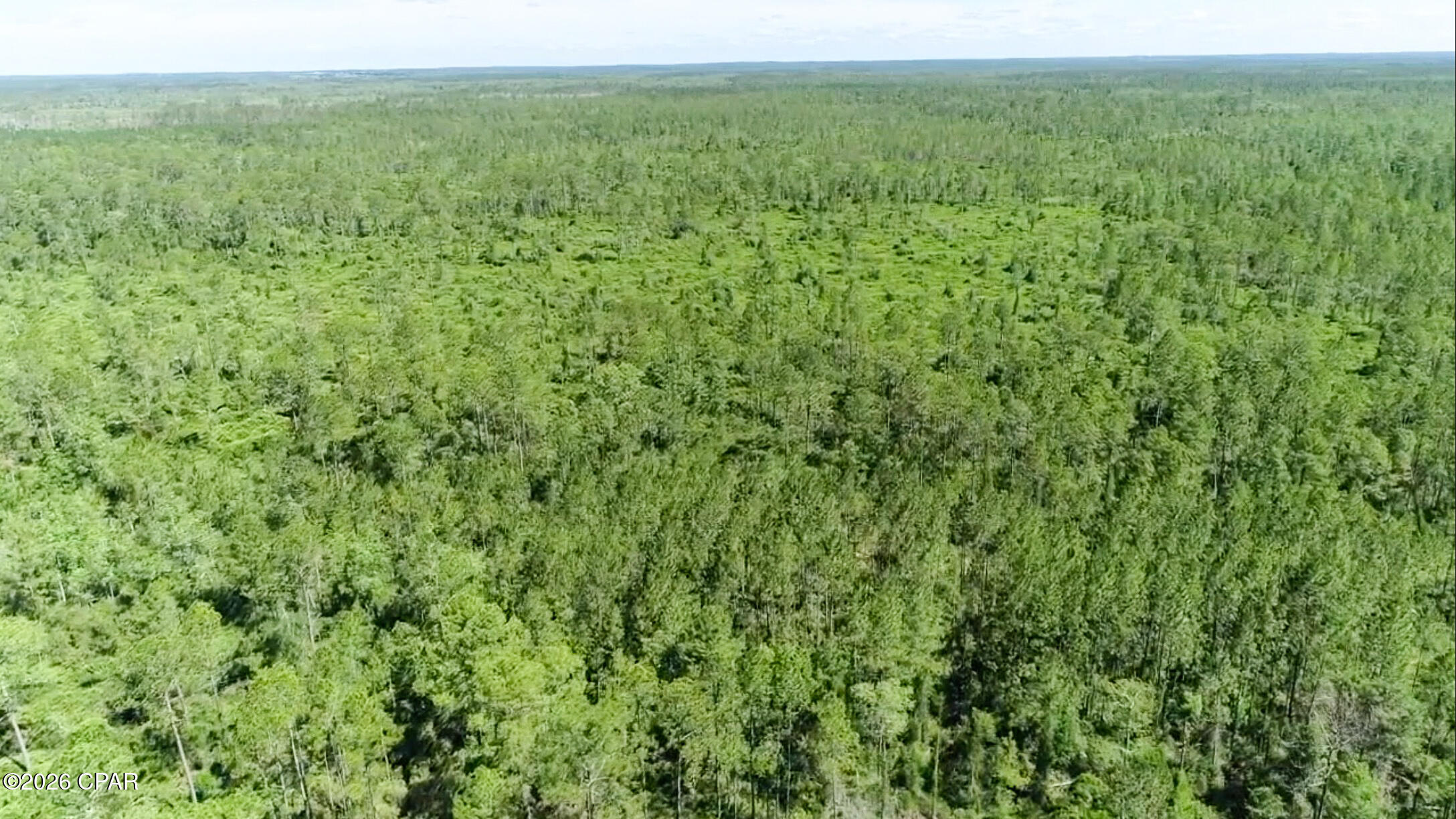 Photo 3 of Land for sale at 0000 SW Vacant Wesley Rd, Madison, FL 32340 | MLS# 794930 | Listing updated on 2026-09-02