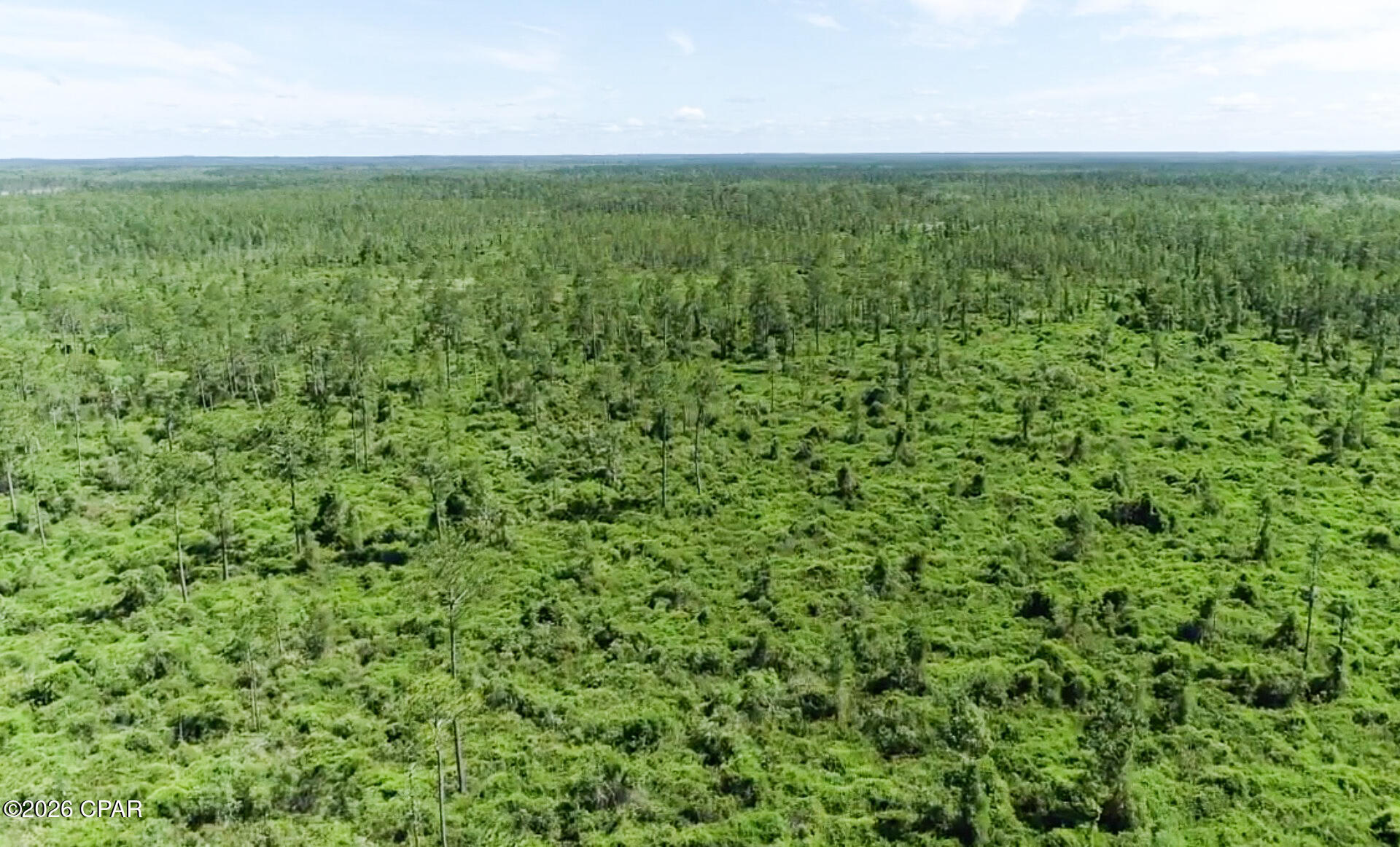 Photo 4 of Land for sale at 0000 SW Vacant Wesley Rd, Madison, FL 32340 | MLS# 794930 | Listing updated on 2026-09-02
