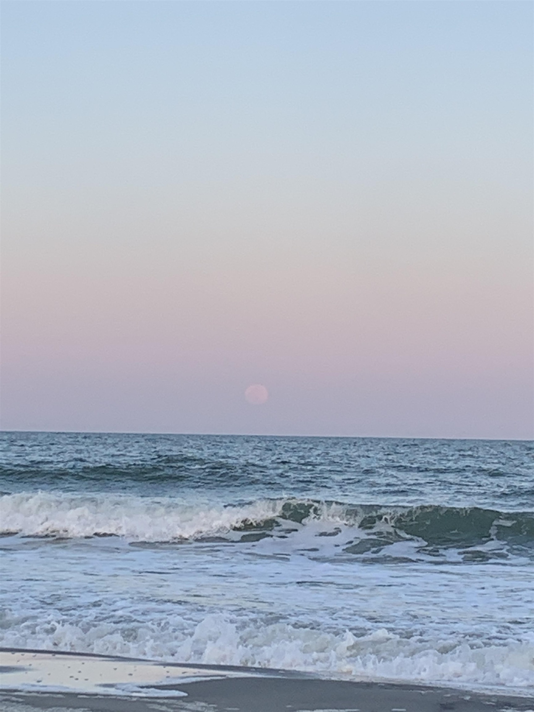 2621803 | Photo 48