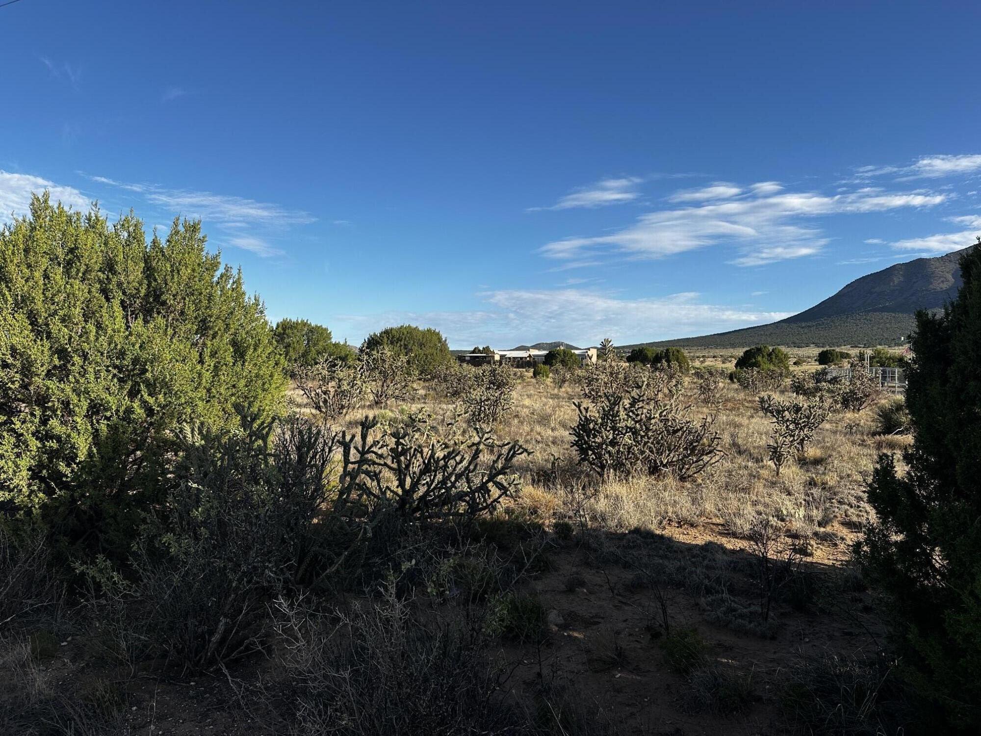 Photo 4 of Land for sale at 33 San Pablo Ln, Edgewood, NM 87015 | MLS# 1110377 | Listing updated on 2026-09-04