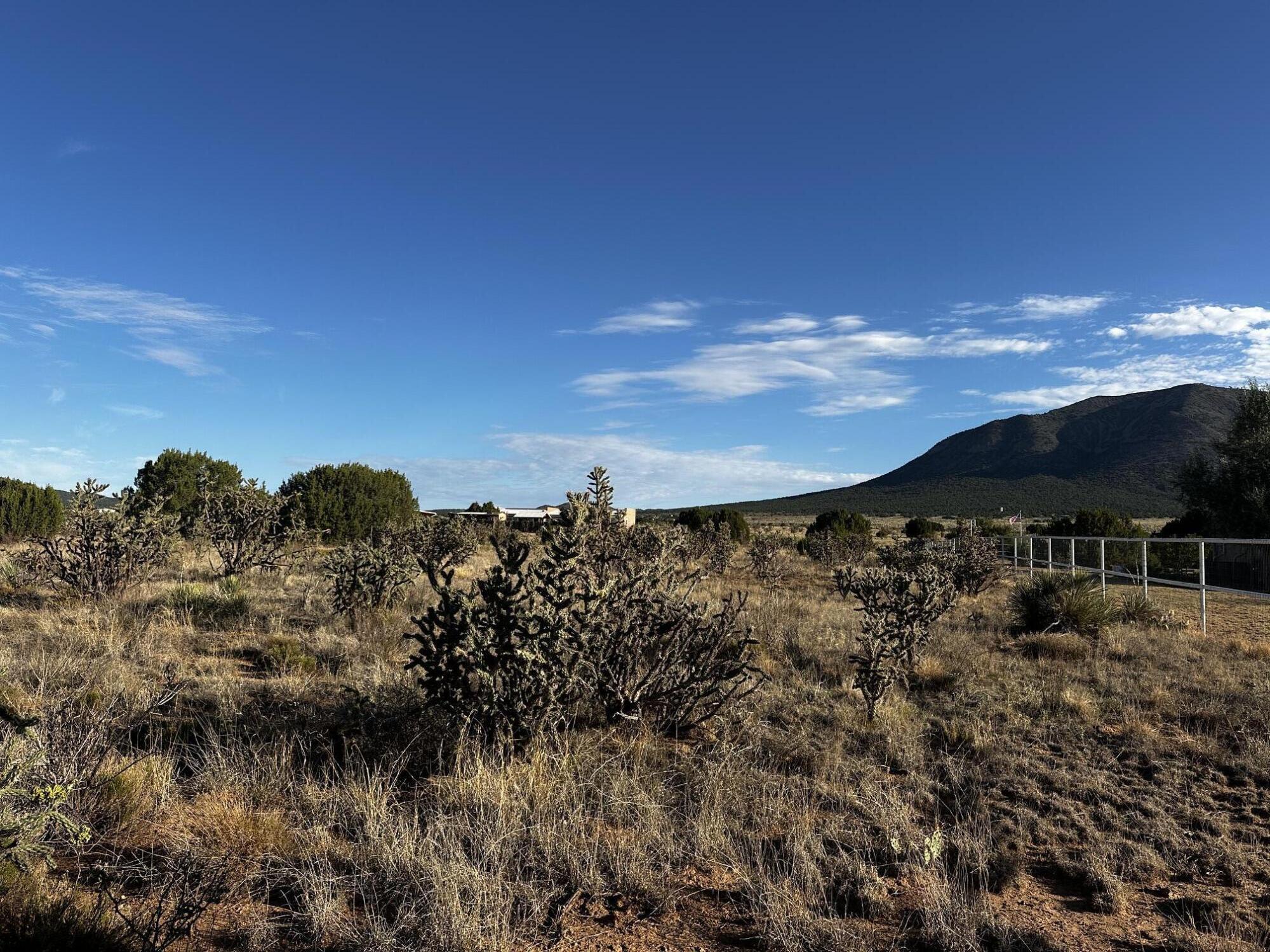 Photo 5 of Land for sale at 33 San Pablo Ln, Edgewood, NM 87015 | MLS# 1110377 | Listing updated on 2026-09-04