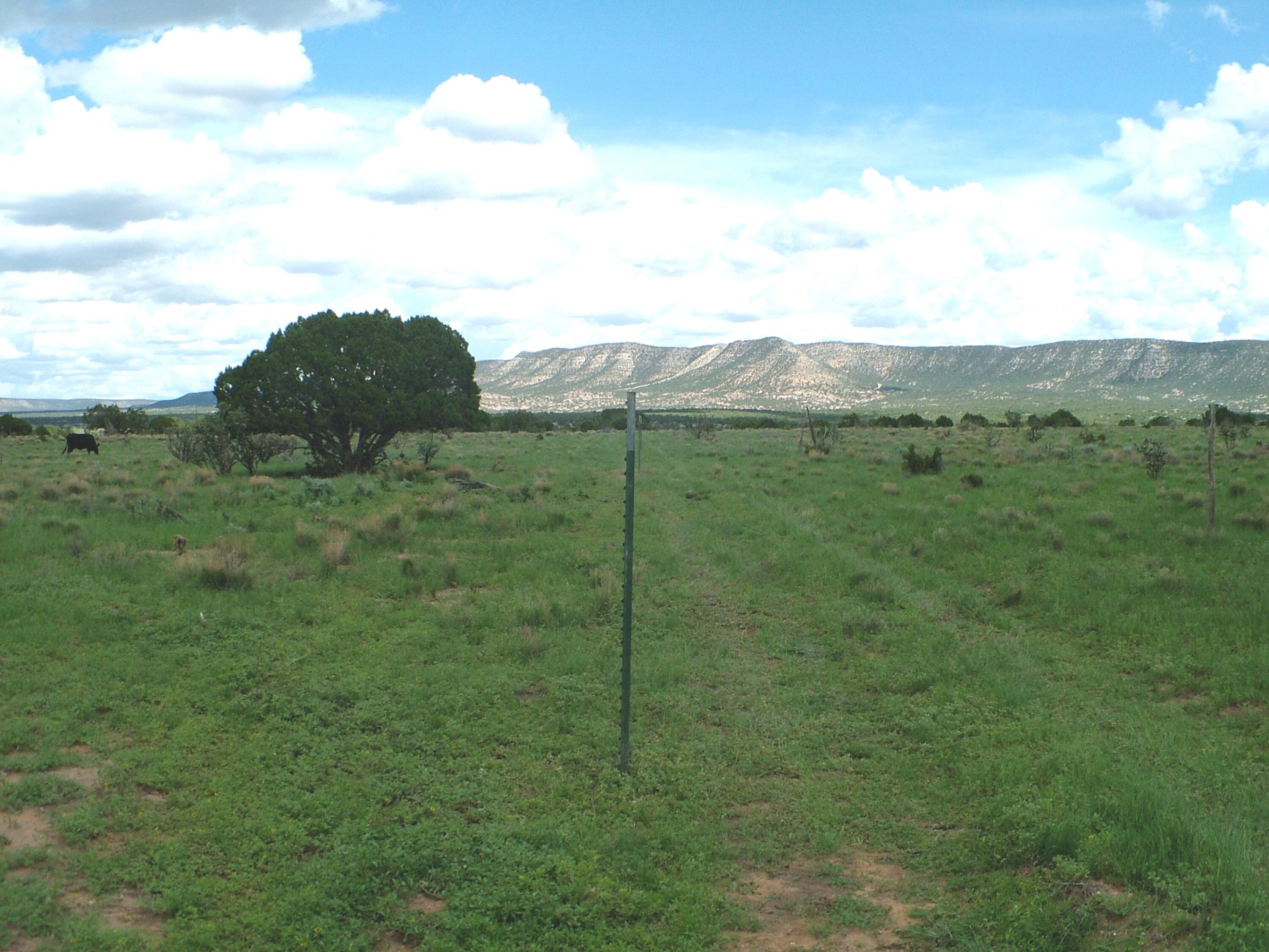 Photo 5 of Land for sale at 1008 Chupadero Rd, Mountainair, NM 87036 | MLS# 1110415 | Listing updated on 2026-09-05