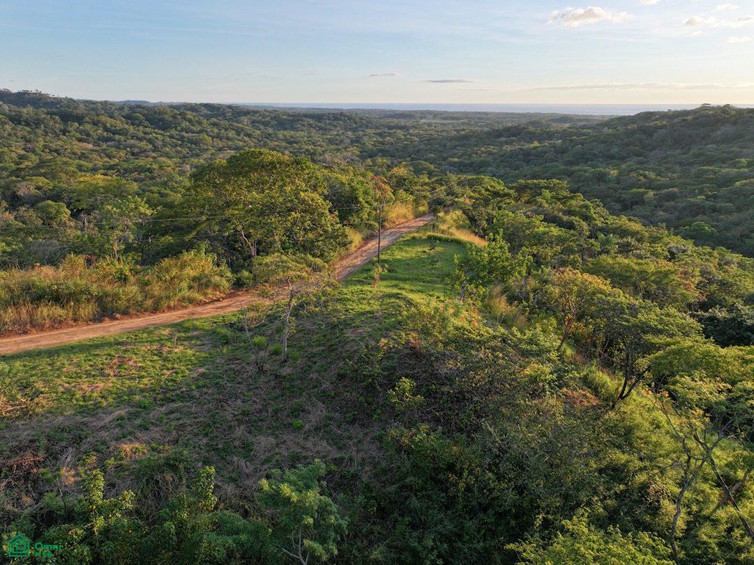  bed Land For Sale in Tamarindo, Guanacaste - 1