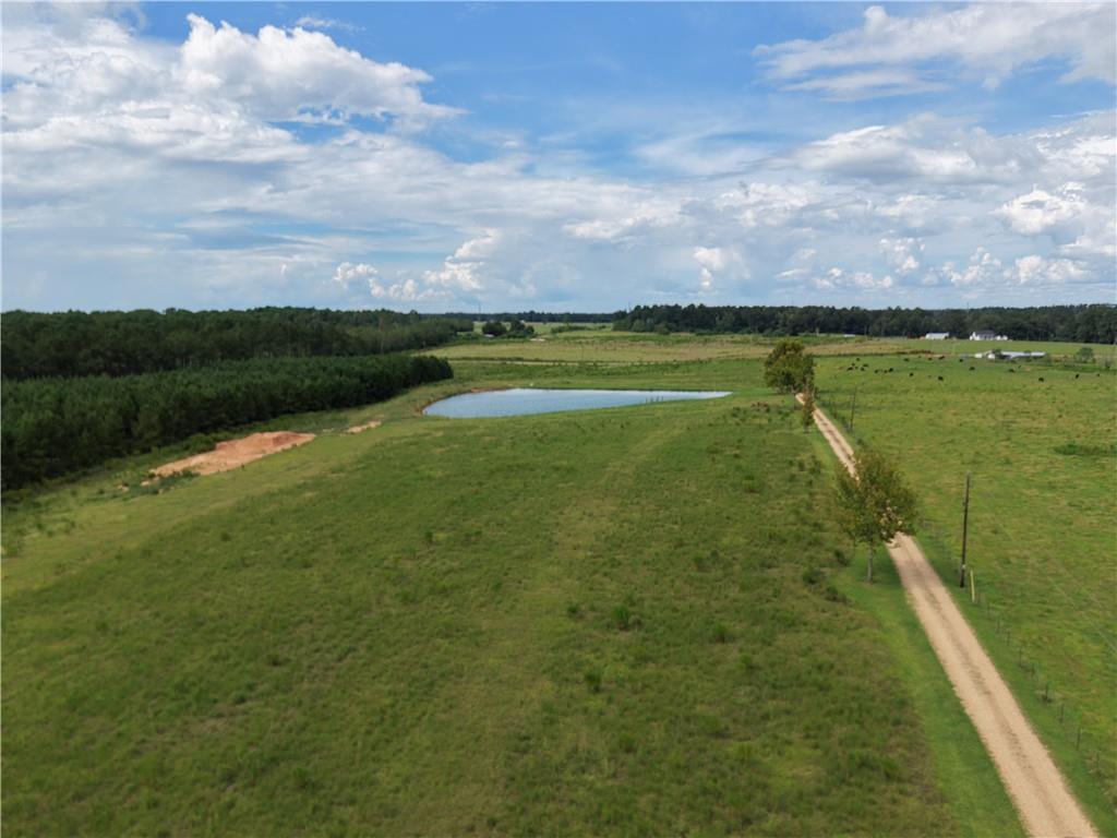 Photo 2 of Land for sale at Tbd E Bell Rd, Amite, LA 70422 | MLS# 2572900 | Listing updated on 2026-09-08
