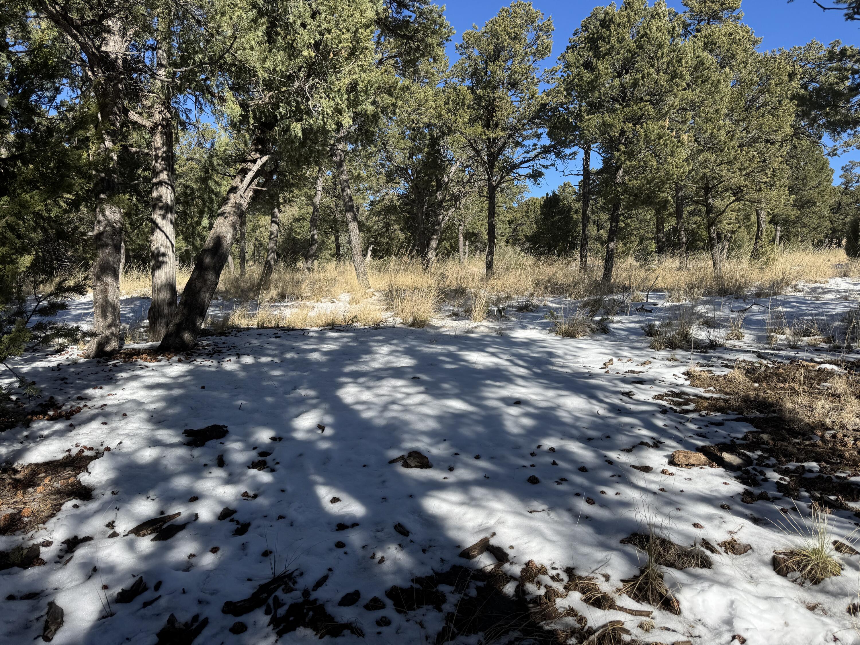 Photo 3 of Land for sale at 17 Wild Wings Cir, Pecos, NM 87552 | MLS# 1110459 | Listing updated on 2026-09-08