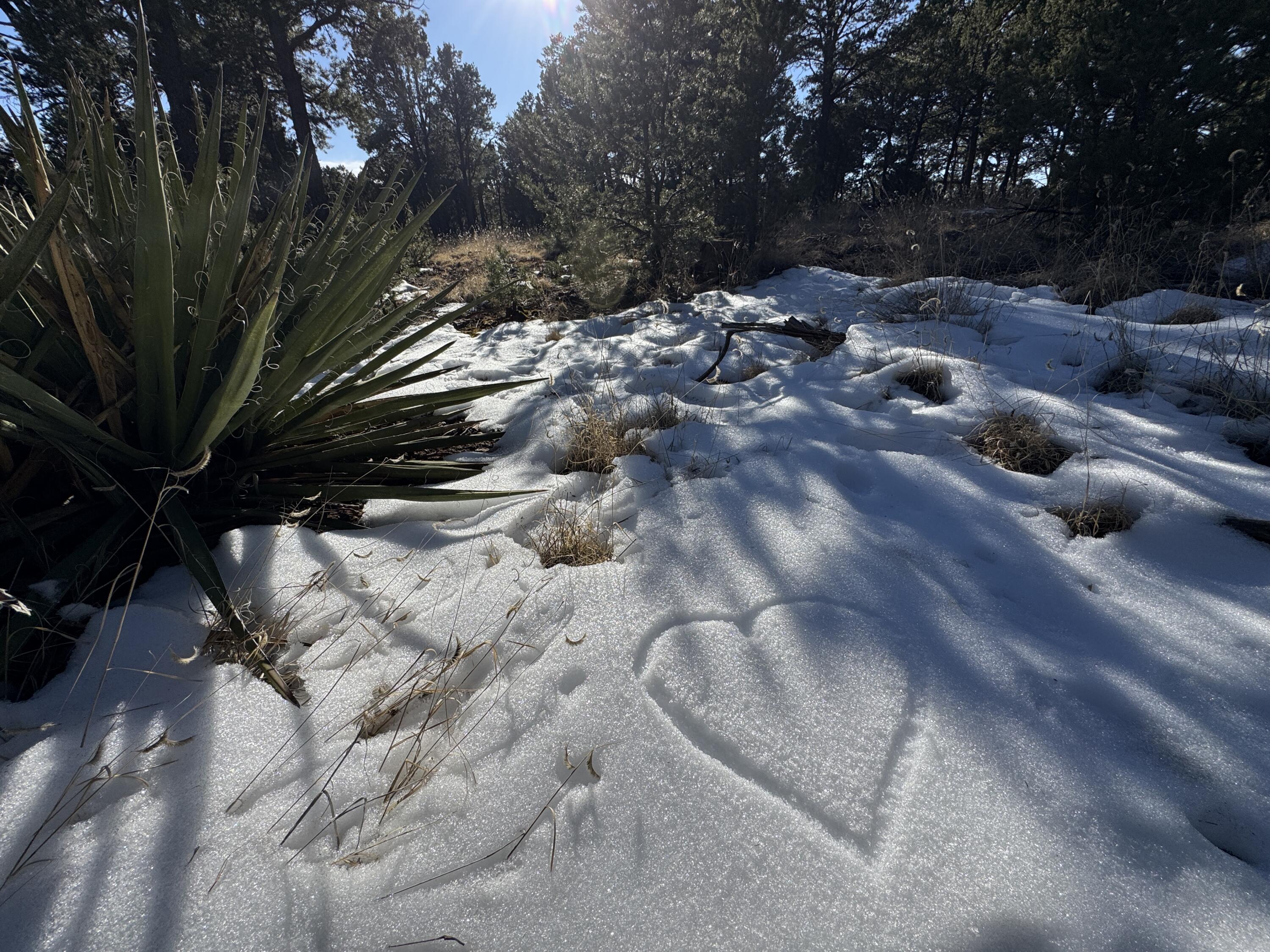 Photo 4 of Land for sale at Birds Of A Feather, Pecos, NM 87552 | MLS# 1110463 | Listing updated on 2026-09-12