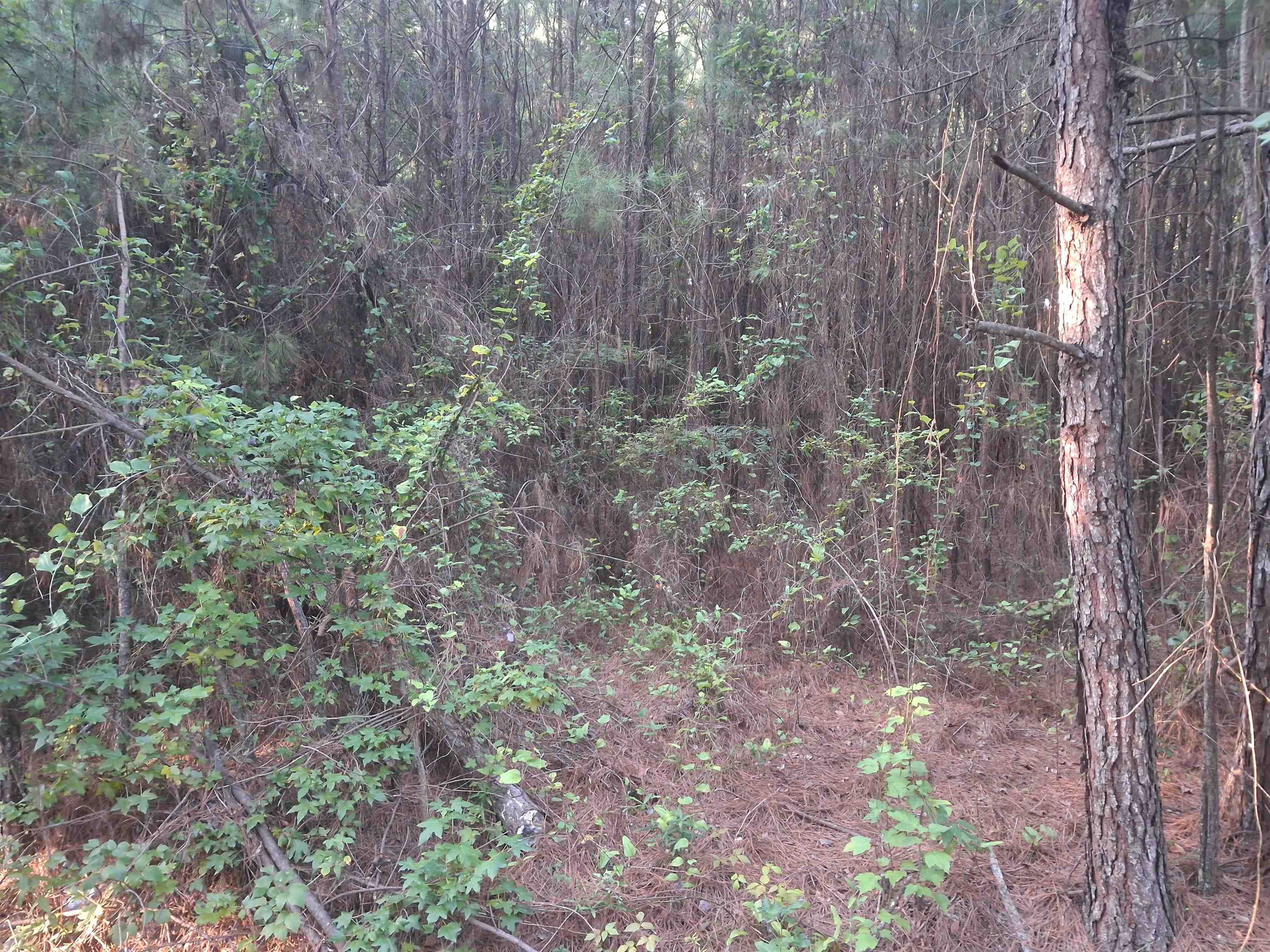 Lot 5-D McGregor Circle